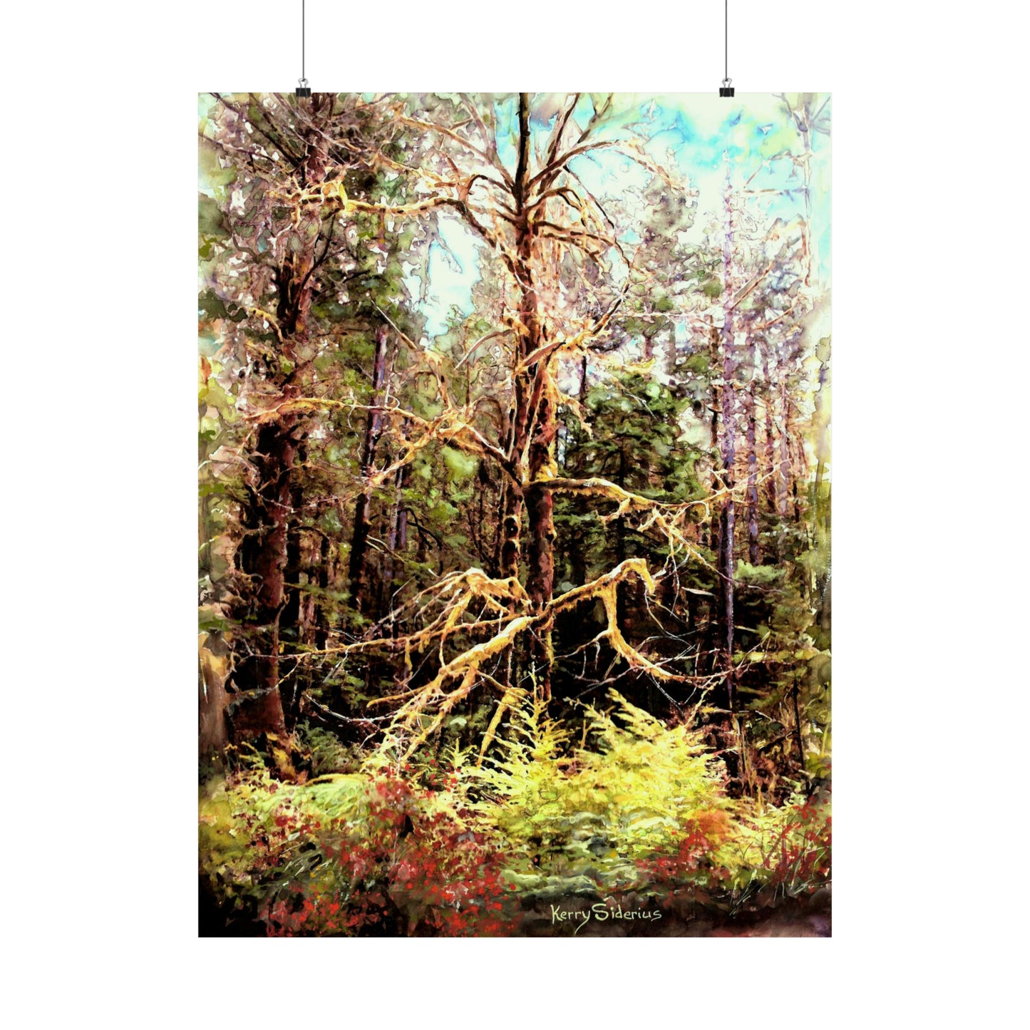 "Mossy Tree on Snoqualmie Pass" Archival Poster Print