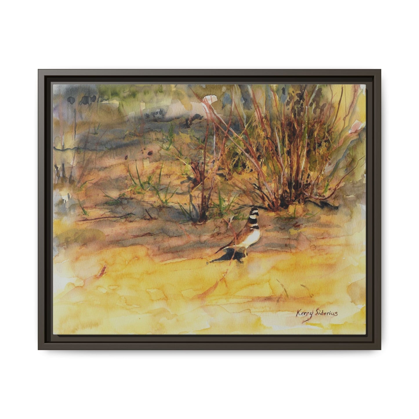 "Killdeer Male on the banks of the Columbia" Gallery Wrapped Wood Framed Canvas