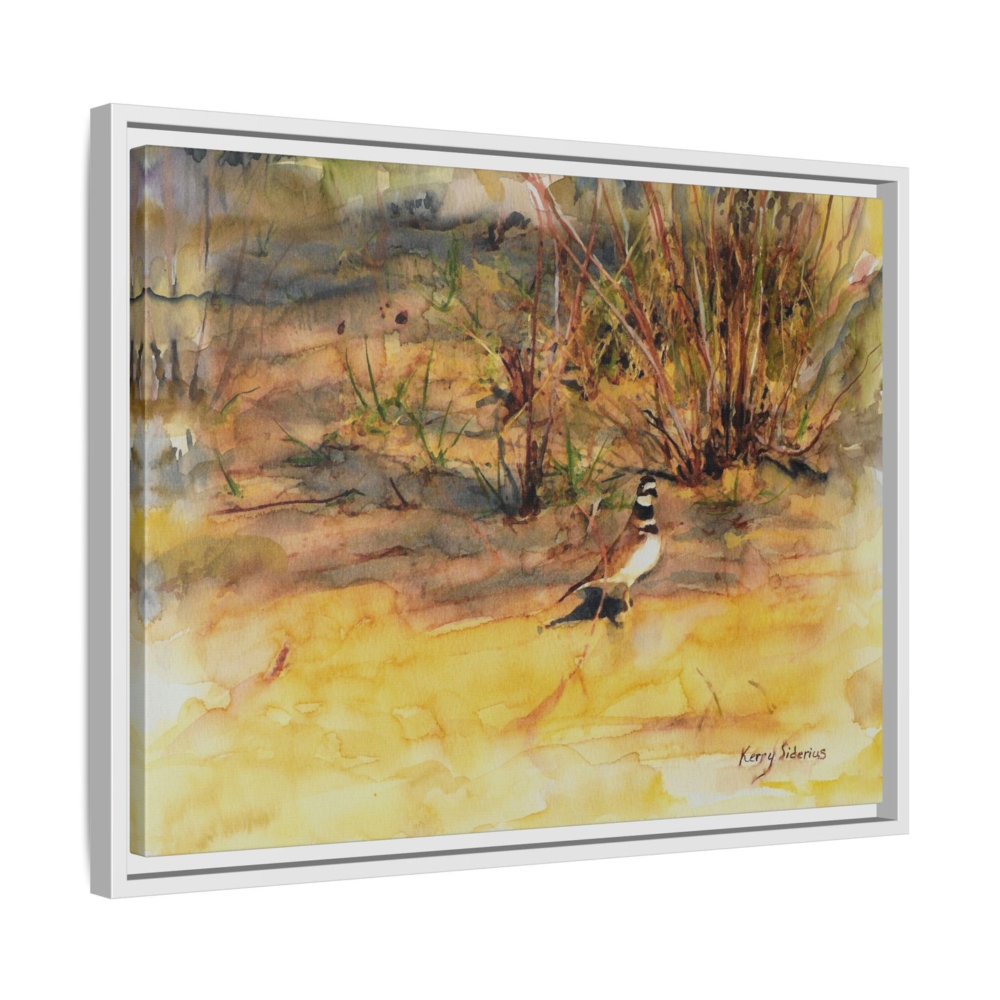 "Killdeer Male on the banks of the Columbia" Gallery Wrapped Wood Framed Canvas