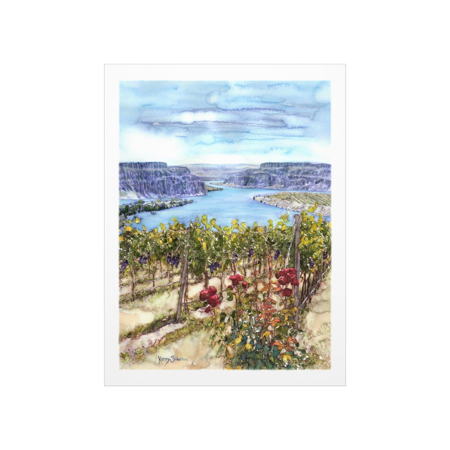 "Crescent Bar Vineyard White Heron" Matte Archival Print - Kerry Siderius Art