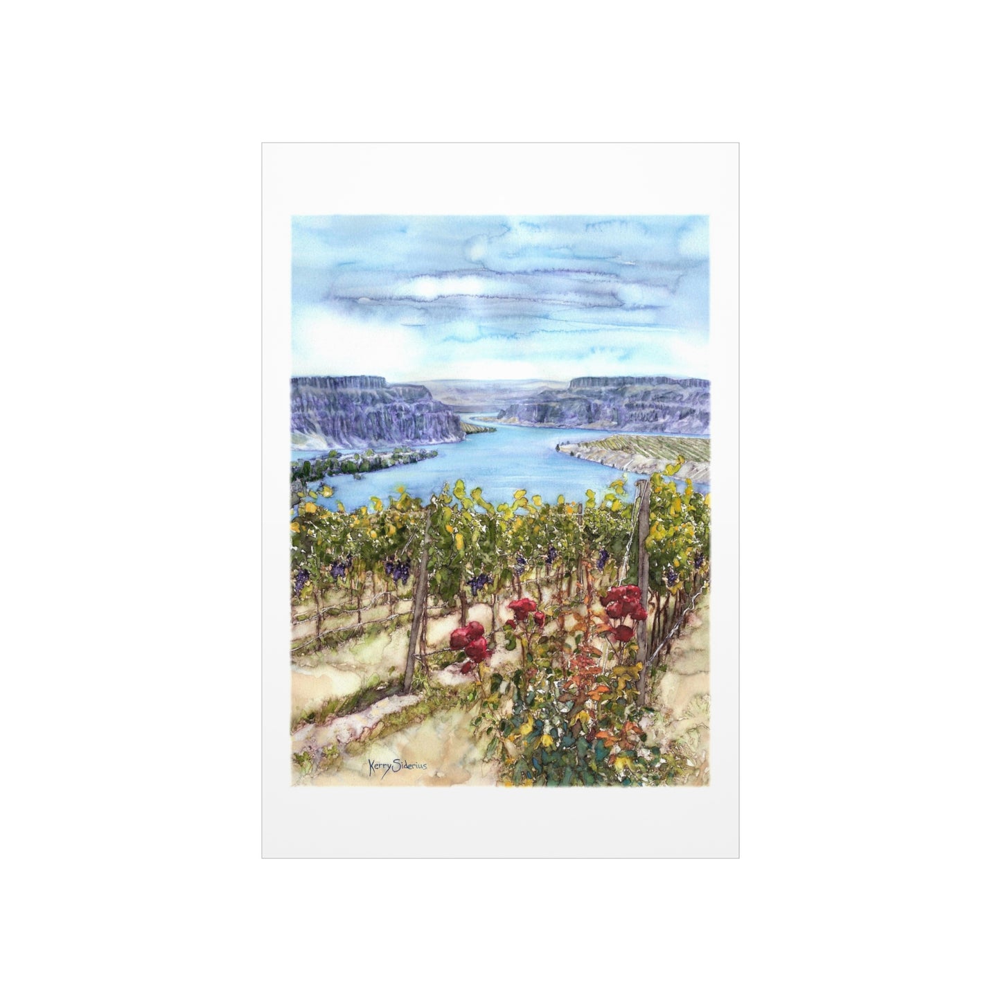 "Crescent Bar Vineyard White Heron" Matte Archival Print - Kerry Siderius Art
