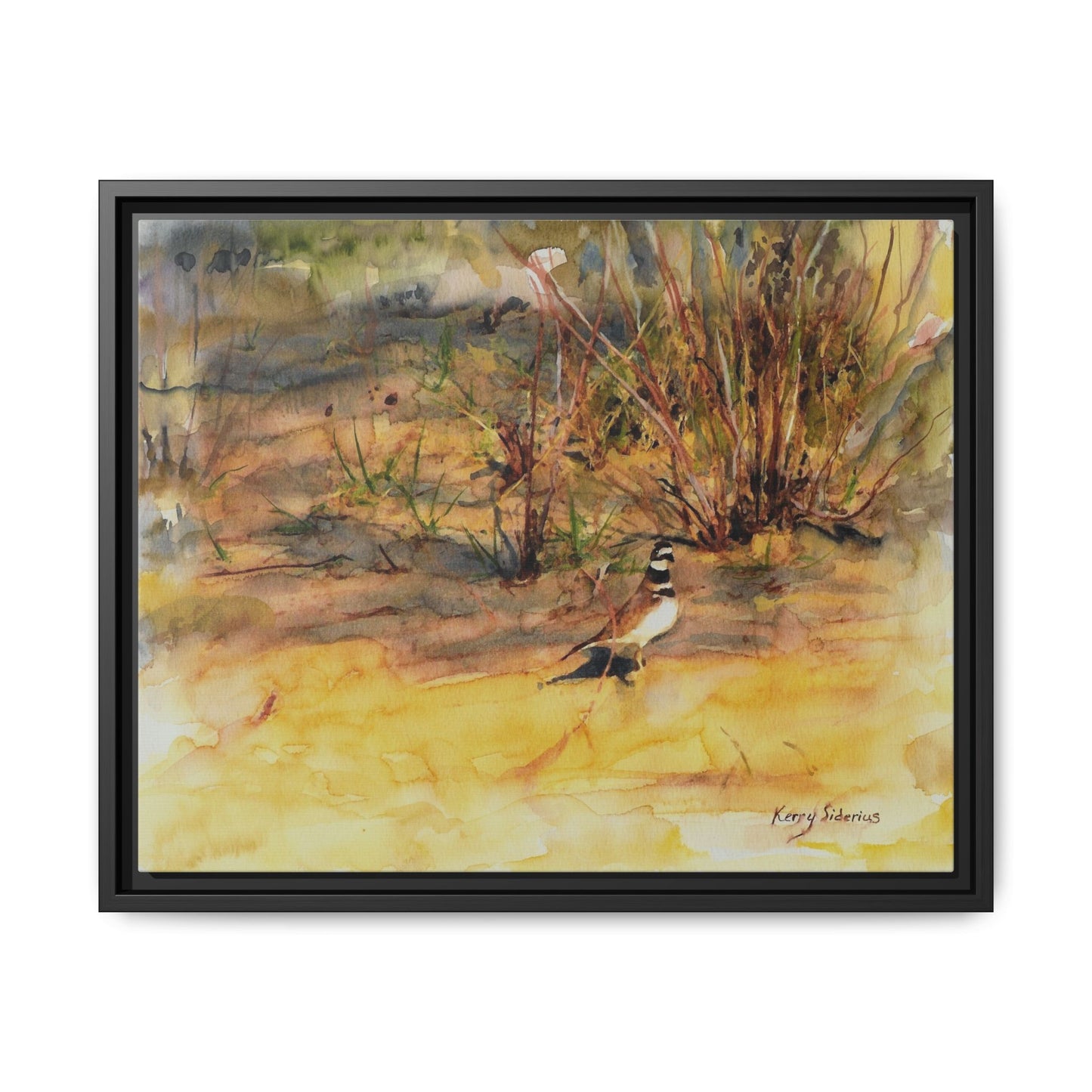 "Killdeer Male on the banks of the Columbia" Gallery Wrapped Wood Framed Canvas