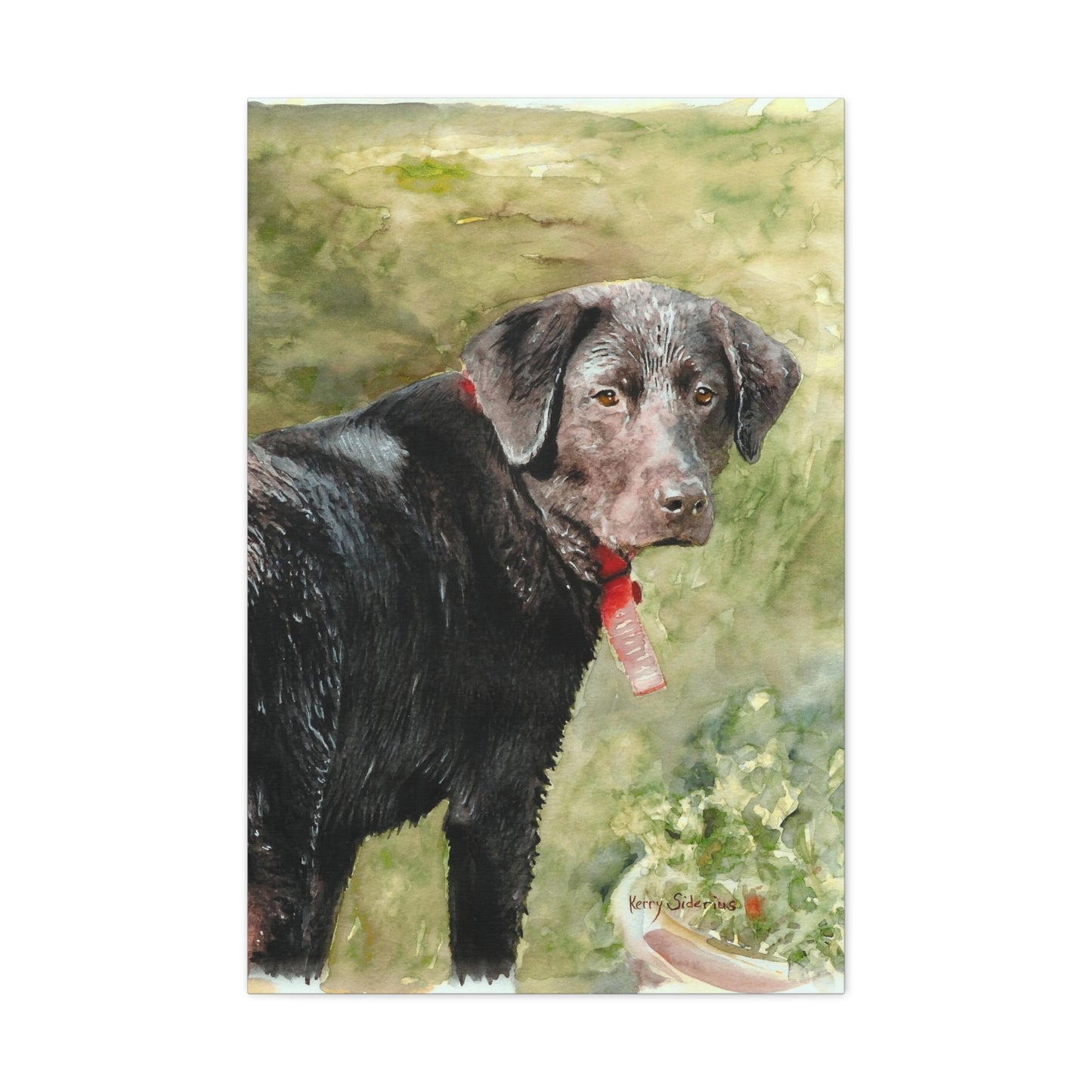 "Look Back Jack" Gallery Wrapped Canvas - Kerry Siderius Art