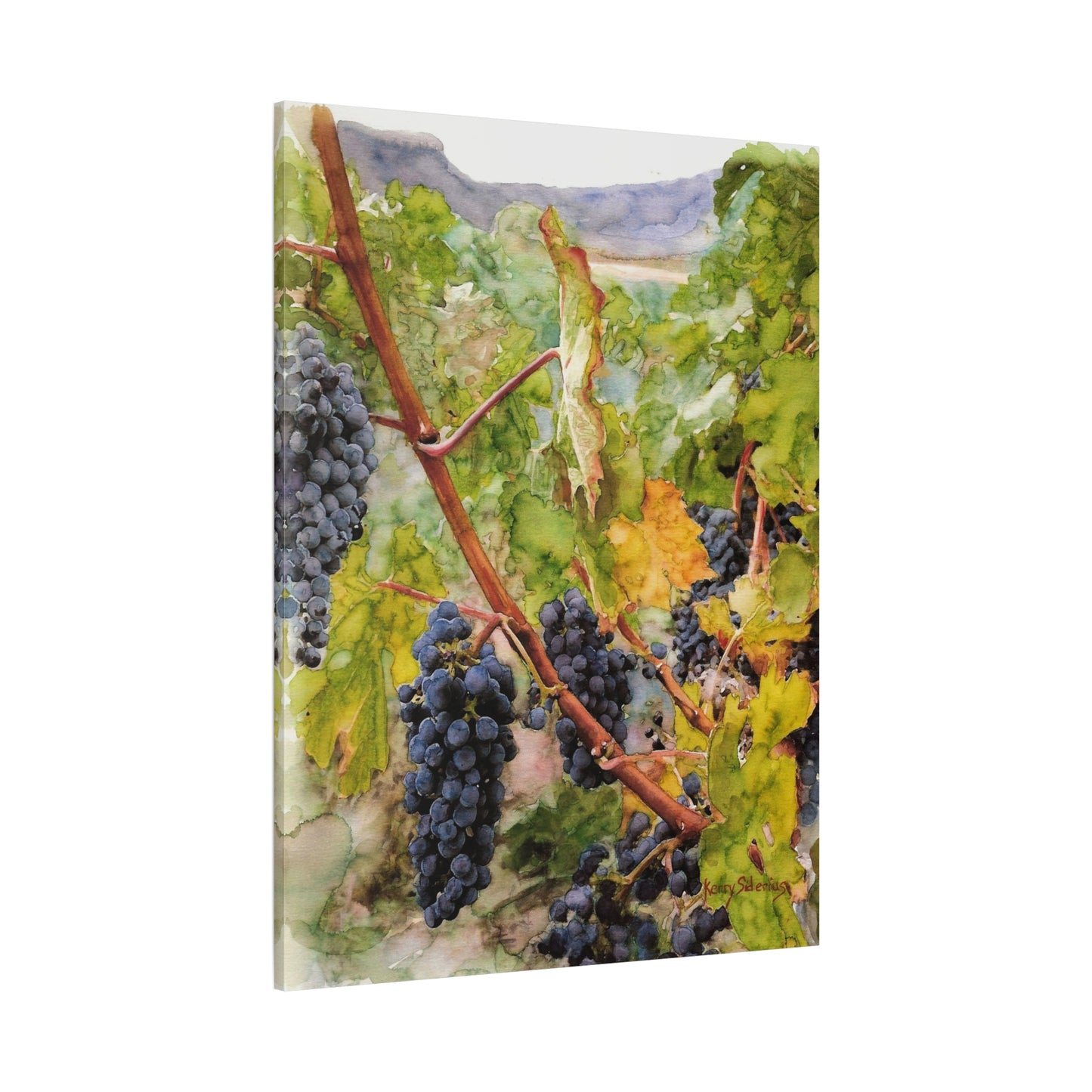 "Columbia Basin Merlot Grapes" Matte Canvas, Stretched, 1.25"