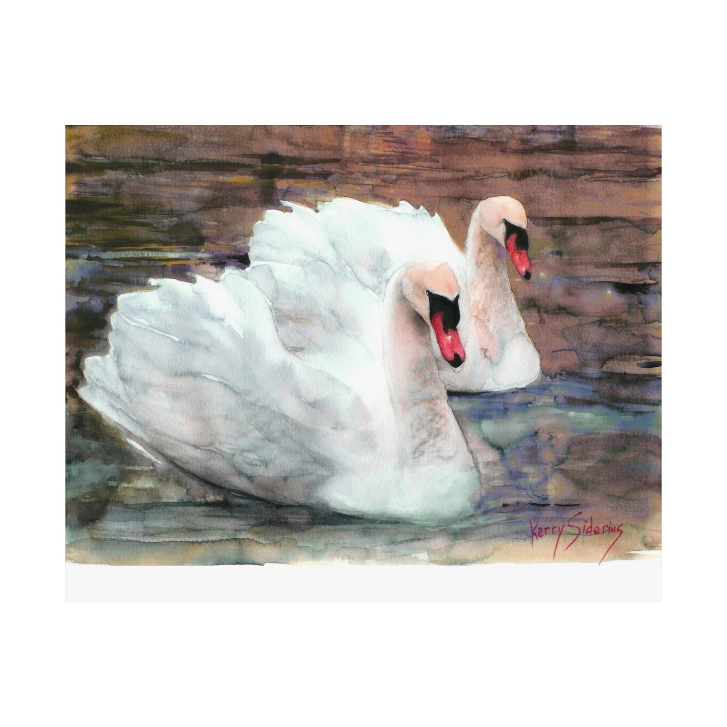"Swans Out For A Swim" Matte Archival Poster