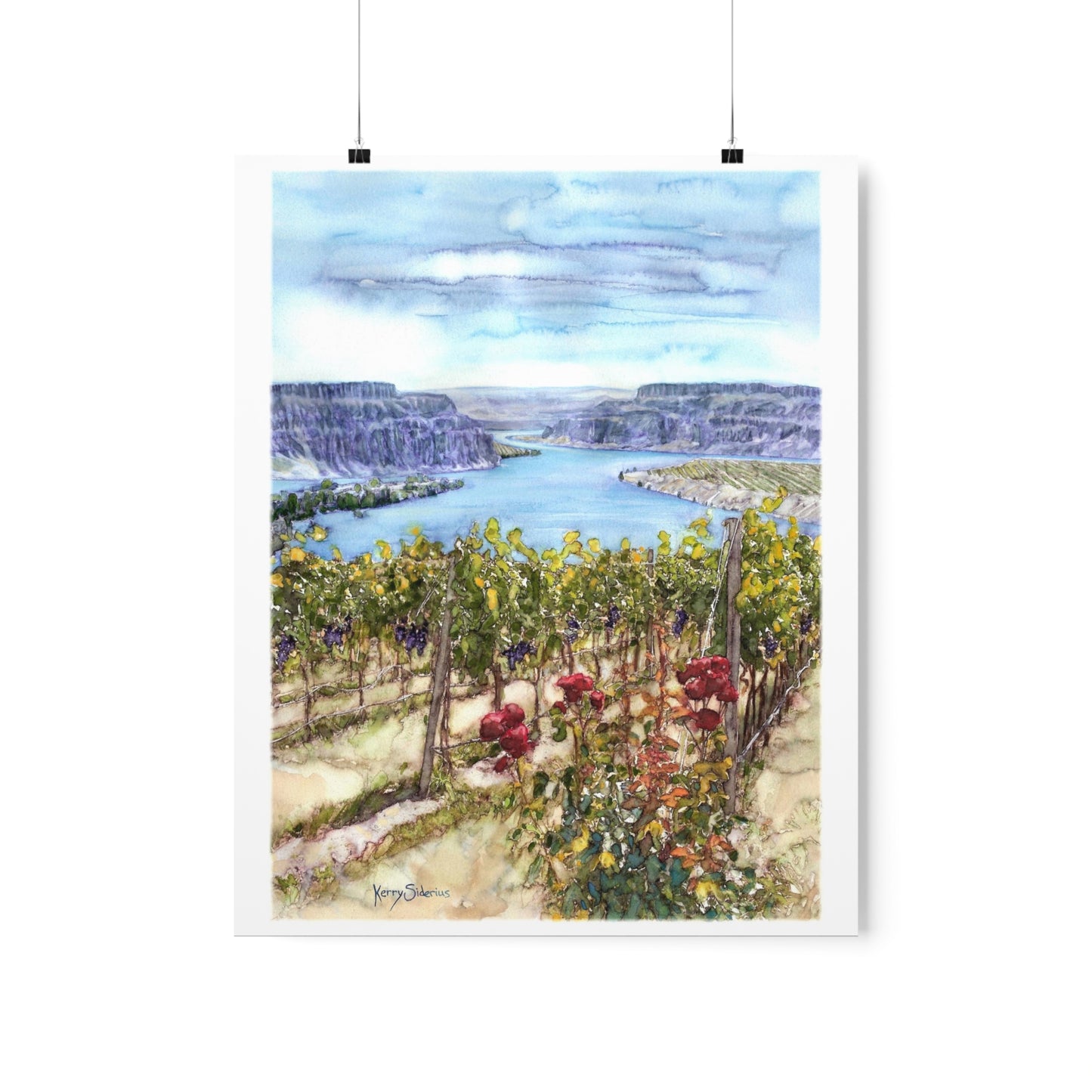 "Crescent Bar Vineyard White Heron" Matte Archival Print - Kerry Siderius Art