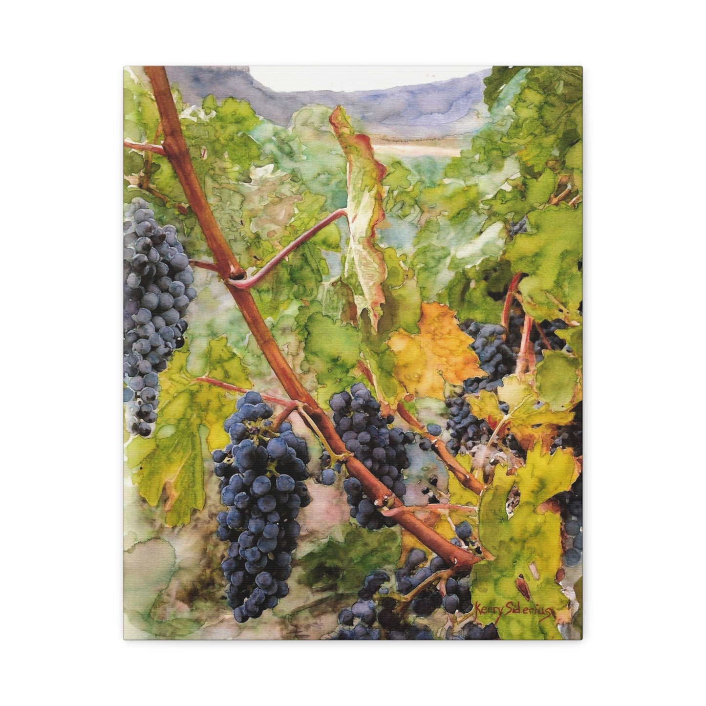 "Columbia Basin Merlot Grapes" Matte Canvas, Stretched, 1.25"