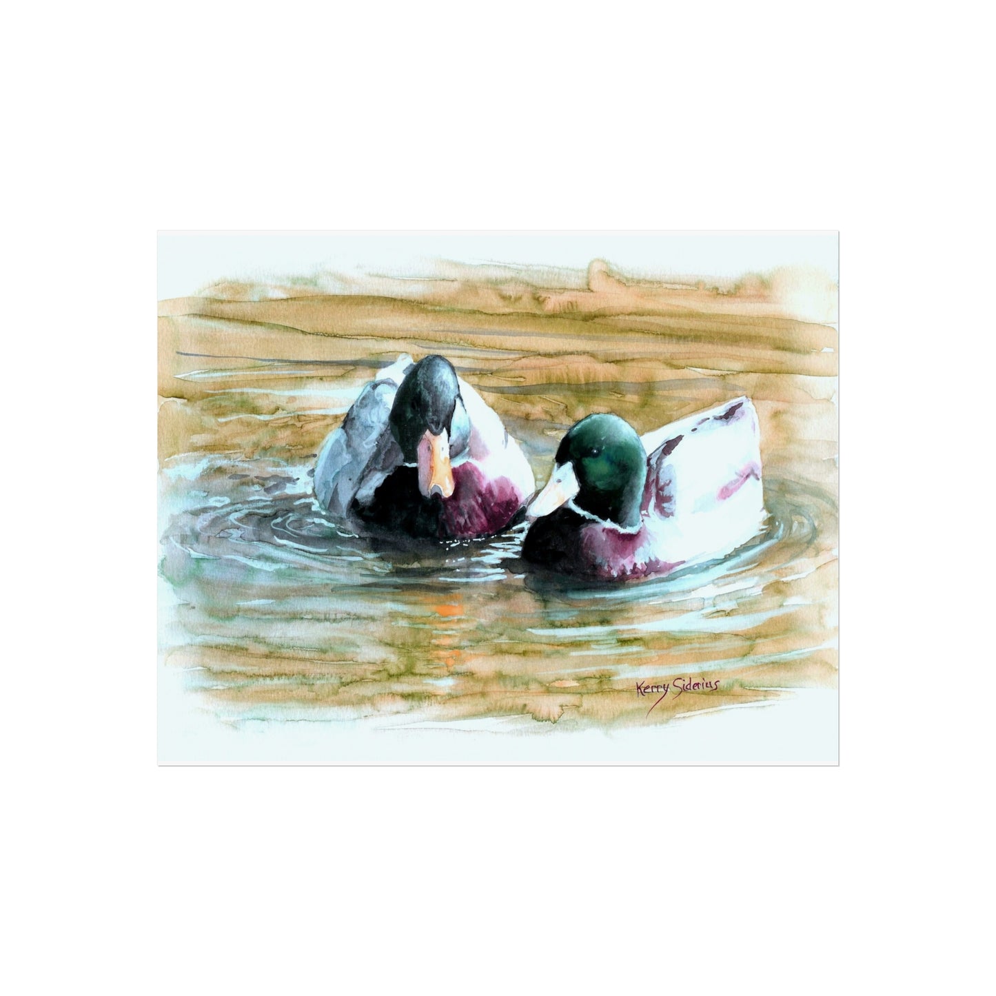 "Lake Chelan Duck Buddies" Giclee Archival Print