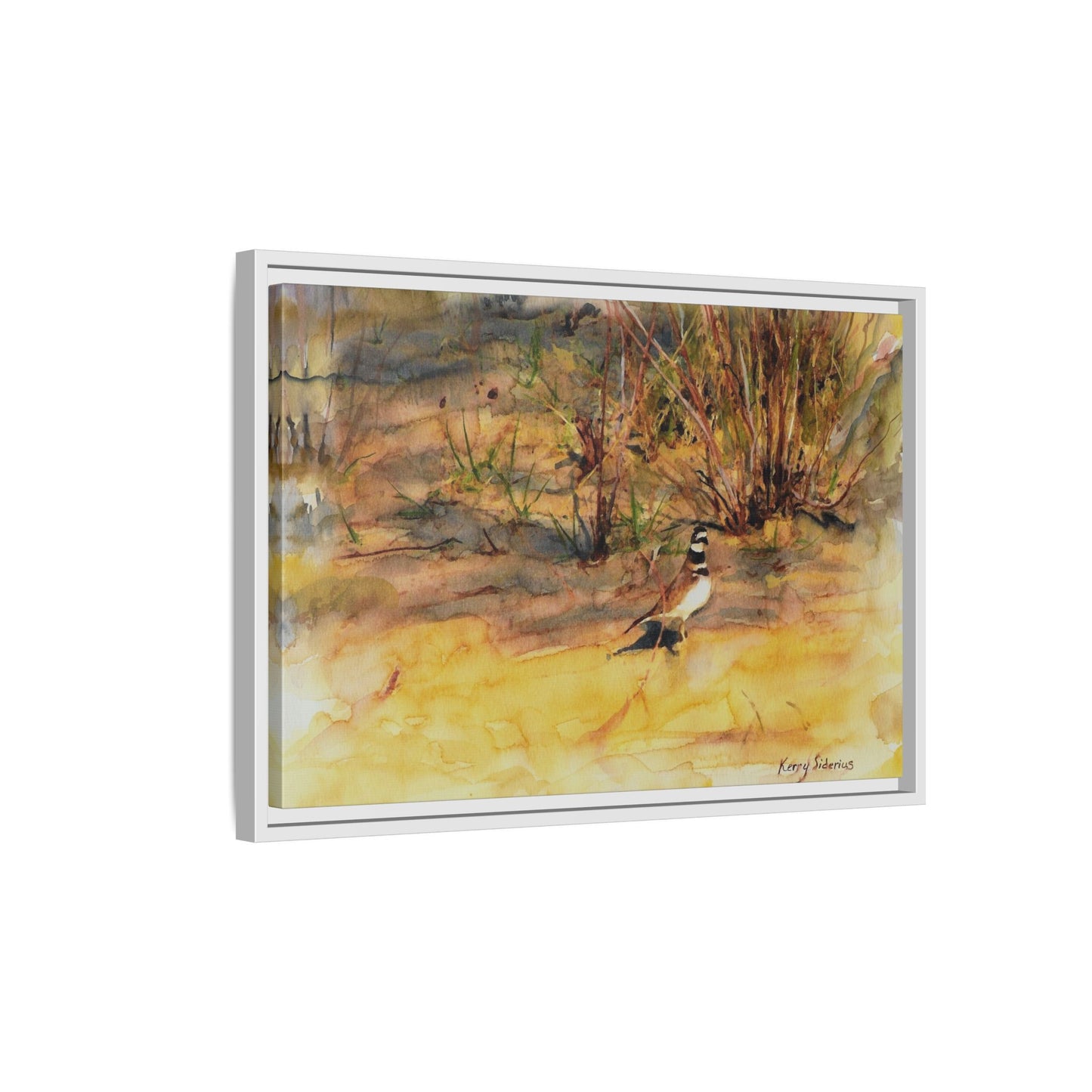 "Killdeer Male on the banks of the Columbia" Gallery Wrapped Wood Framed Canvas