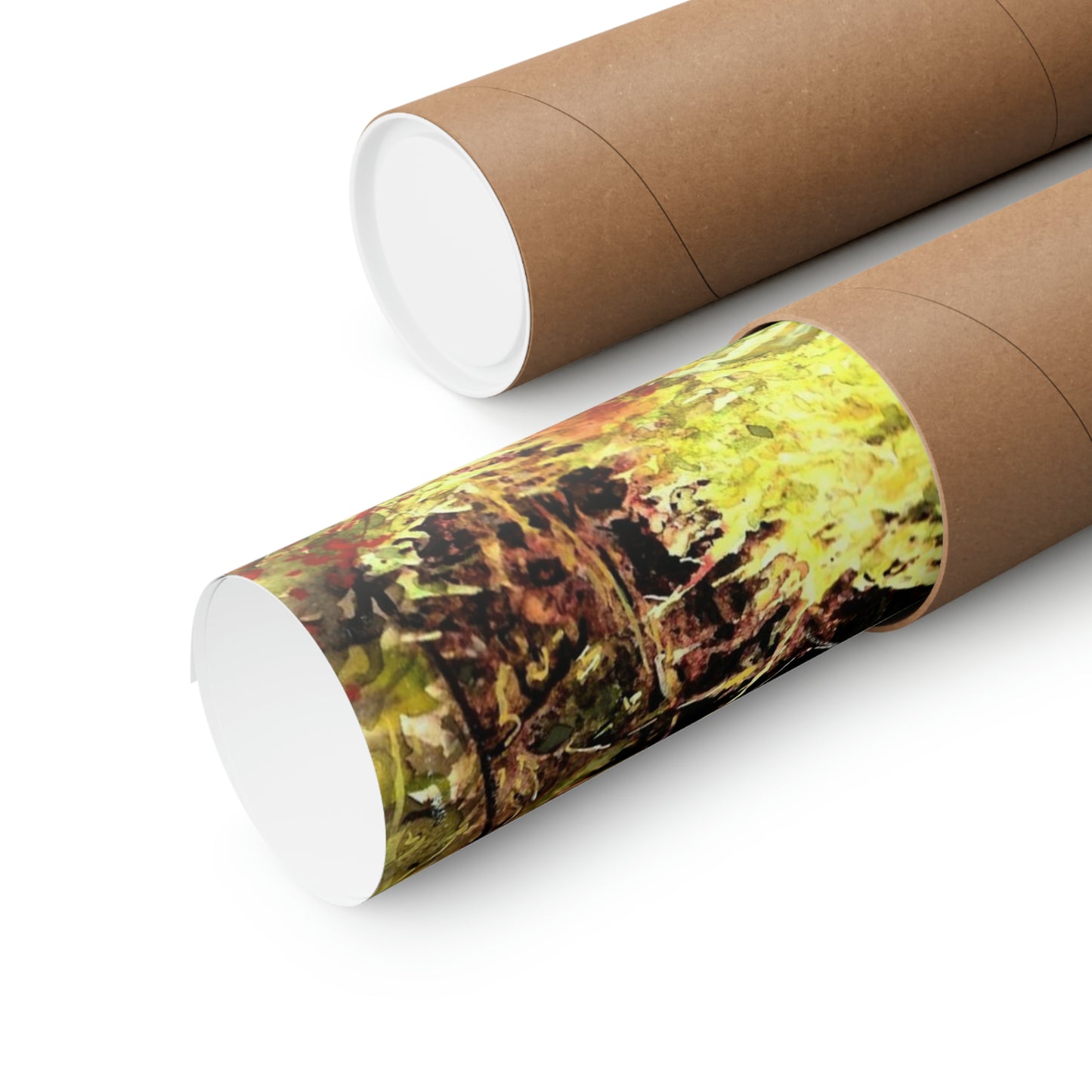 "Mossy Tree on Snoqualmie Pass" Archival Poster Print