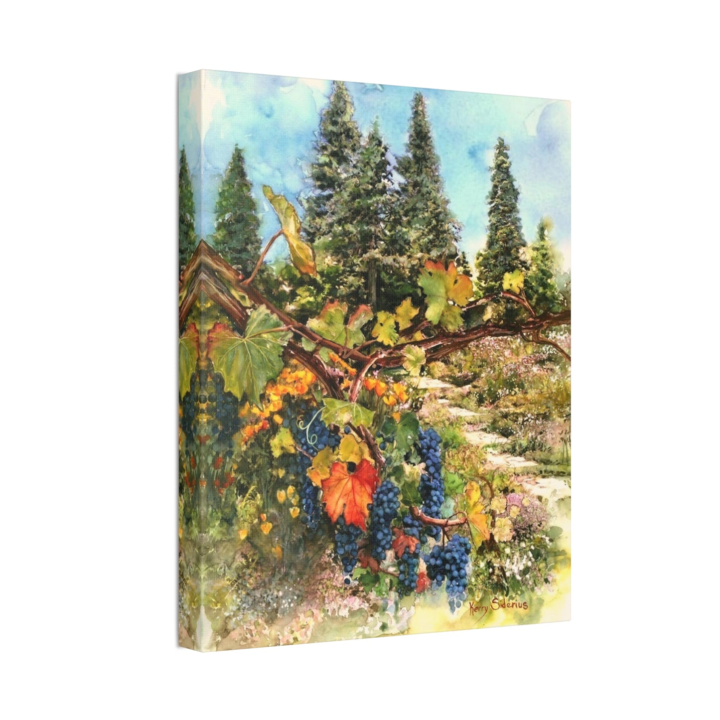 "Ohme Garden's Grapevines" Gallery Wrapped Canvas - Kerry Siderius Art