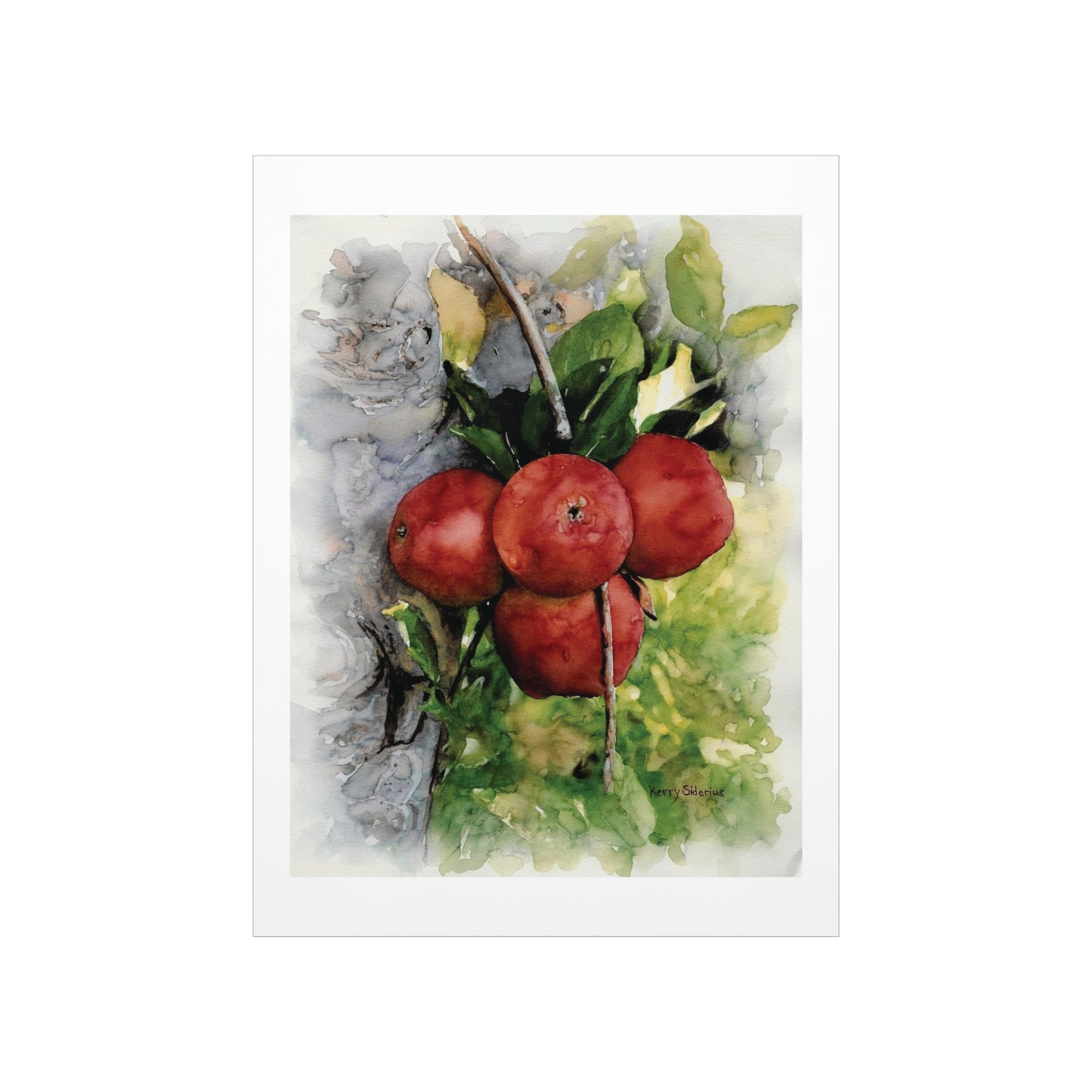 "Ripe Country Apples in Chelan" Archival Print - Kerry Siderius Art