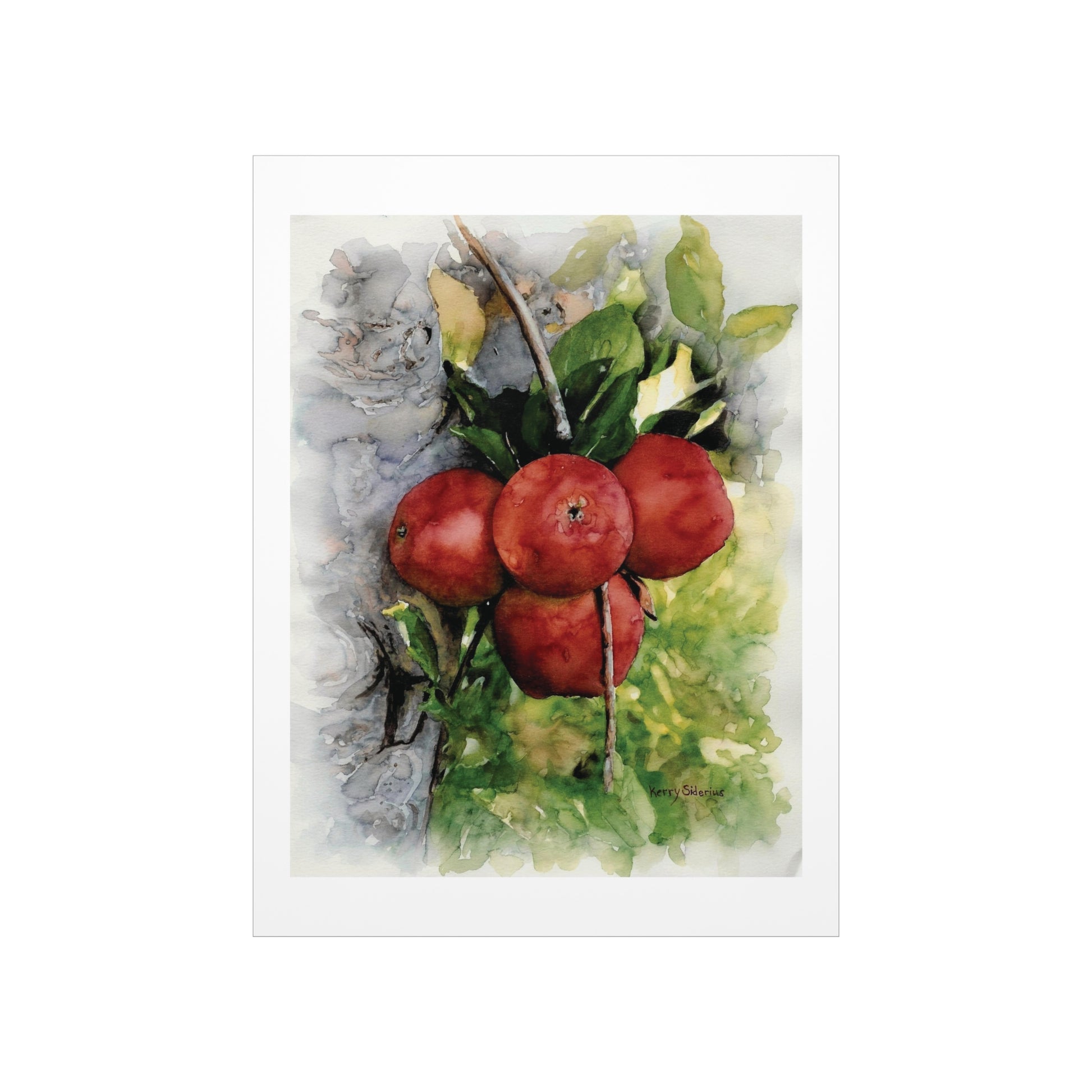 "Ripe Country Apples in Chelan" Archival Print - Kerry Siderius Art