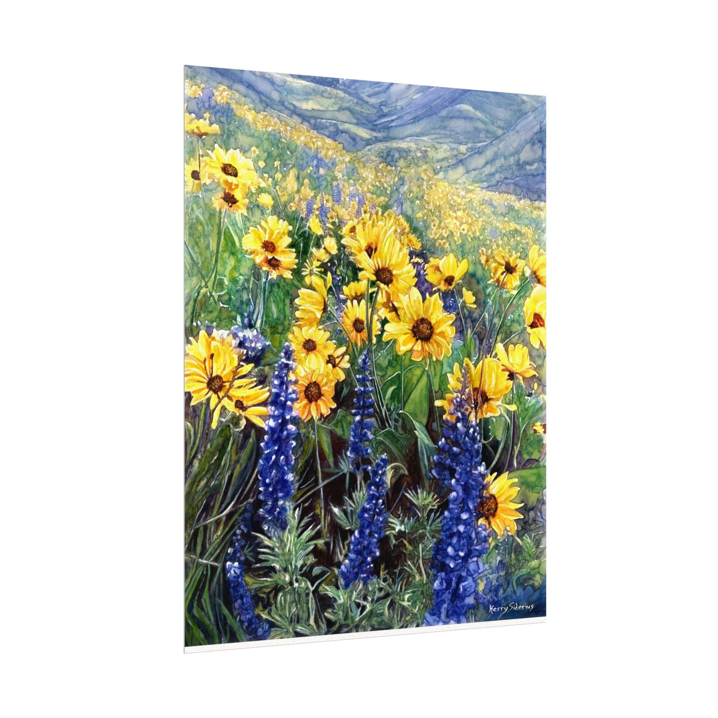 "Balsom and Lupine" Watercolor Art Prints for Home Decor, Nature Lovers, Gifting, Wall Art, Office Decor