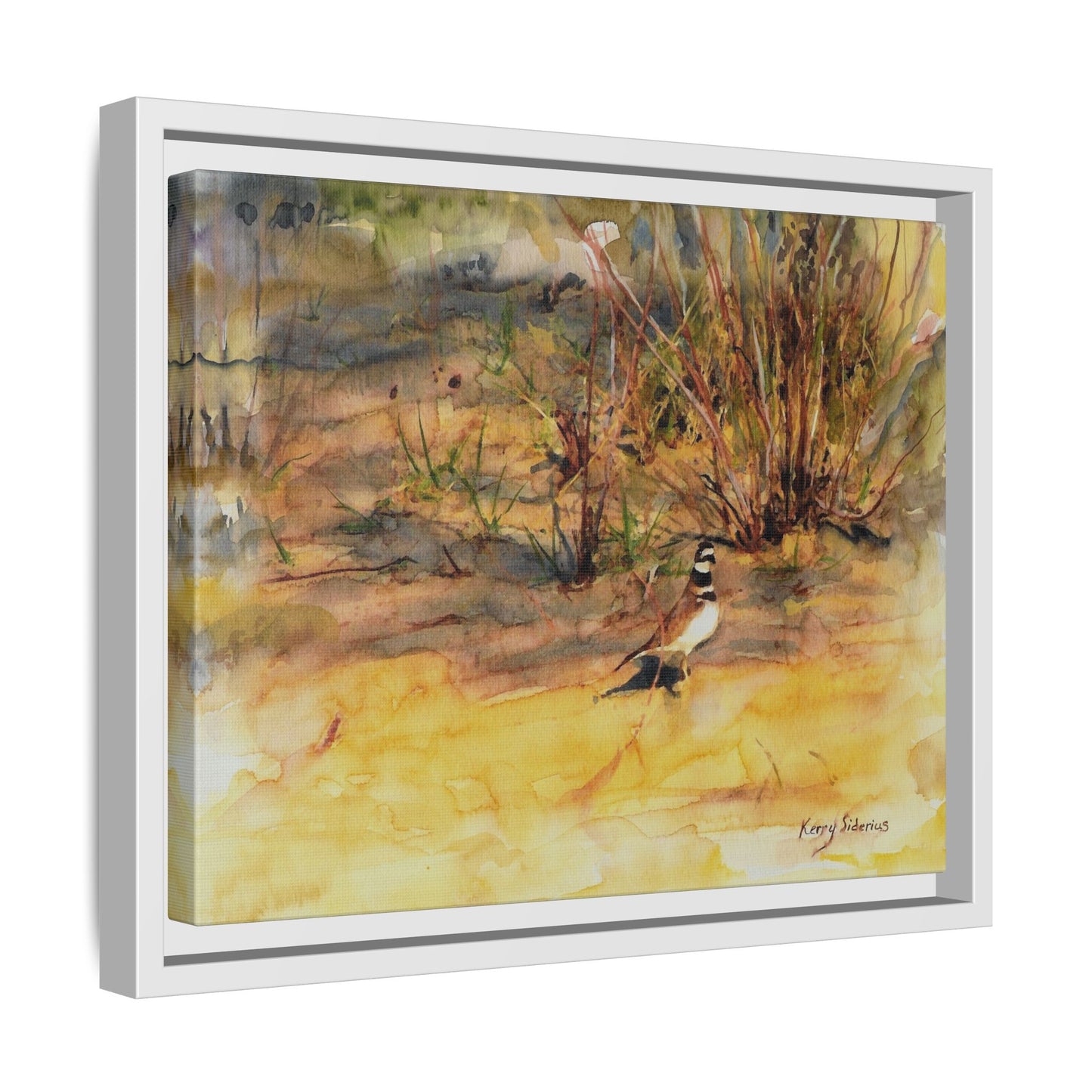 "Killdeer Male on the banks of the Columbia" Gallery Wrapped Wood Framed Canvas