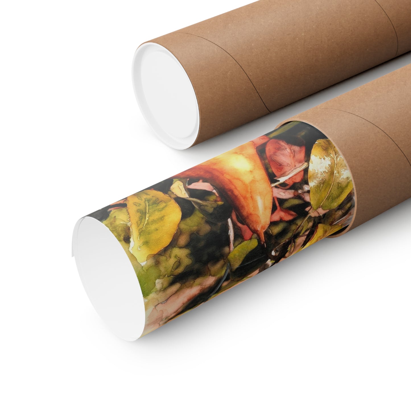 "Pear In Cashmere Sunlight" Archival Ink Poster Print - Kerry Siderius Art