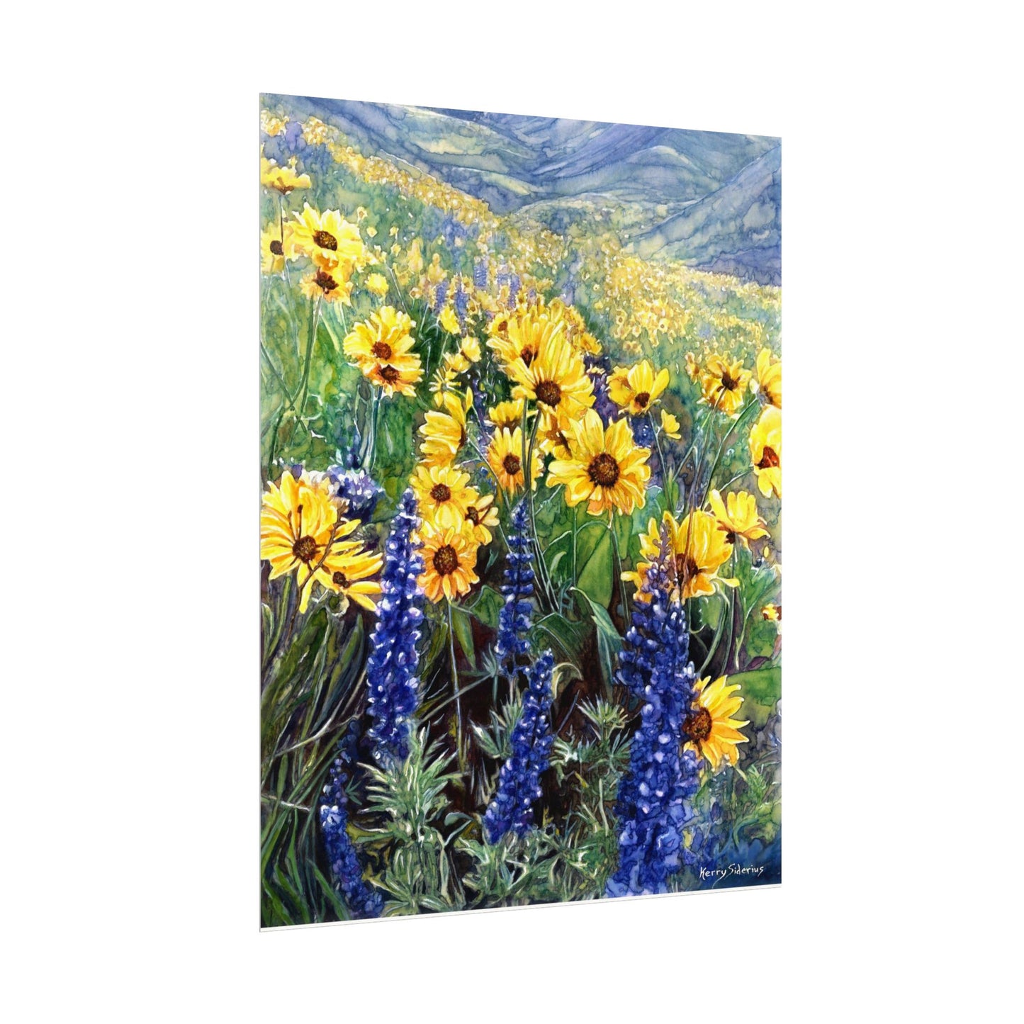 "Balsom and Lupine" Watercolor Art Prints for Home Decor, Nature Lovers, Gifting, Wall Art, Office Decor