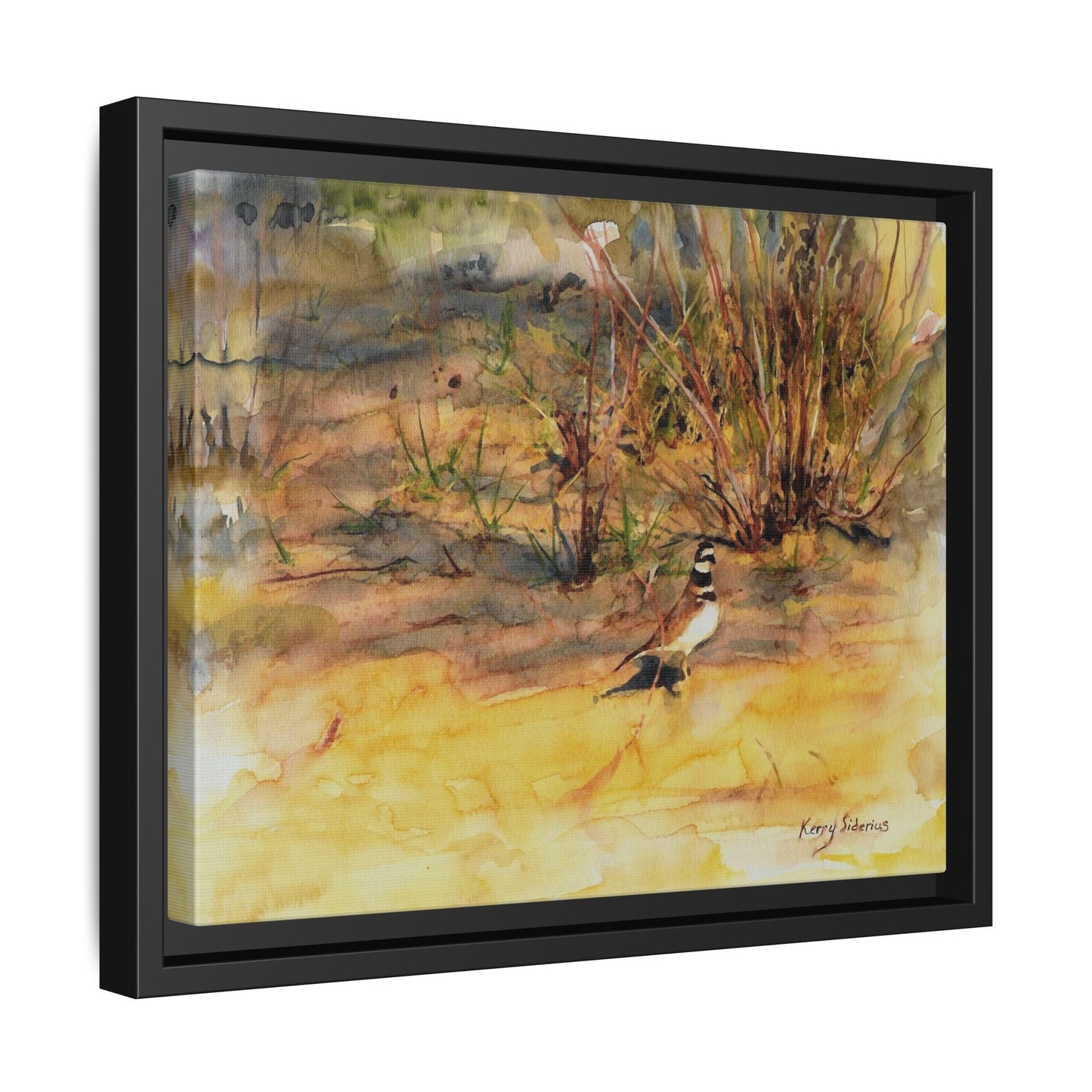 "Killdeer Male on the banks of the Columbia" Gallery Wrapped Wood Framed Canvas