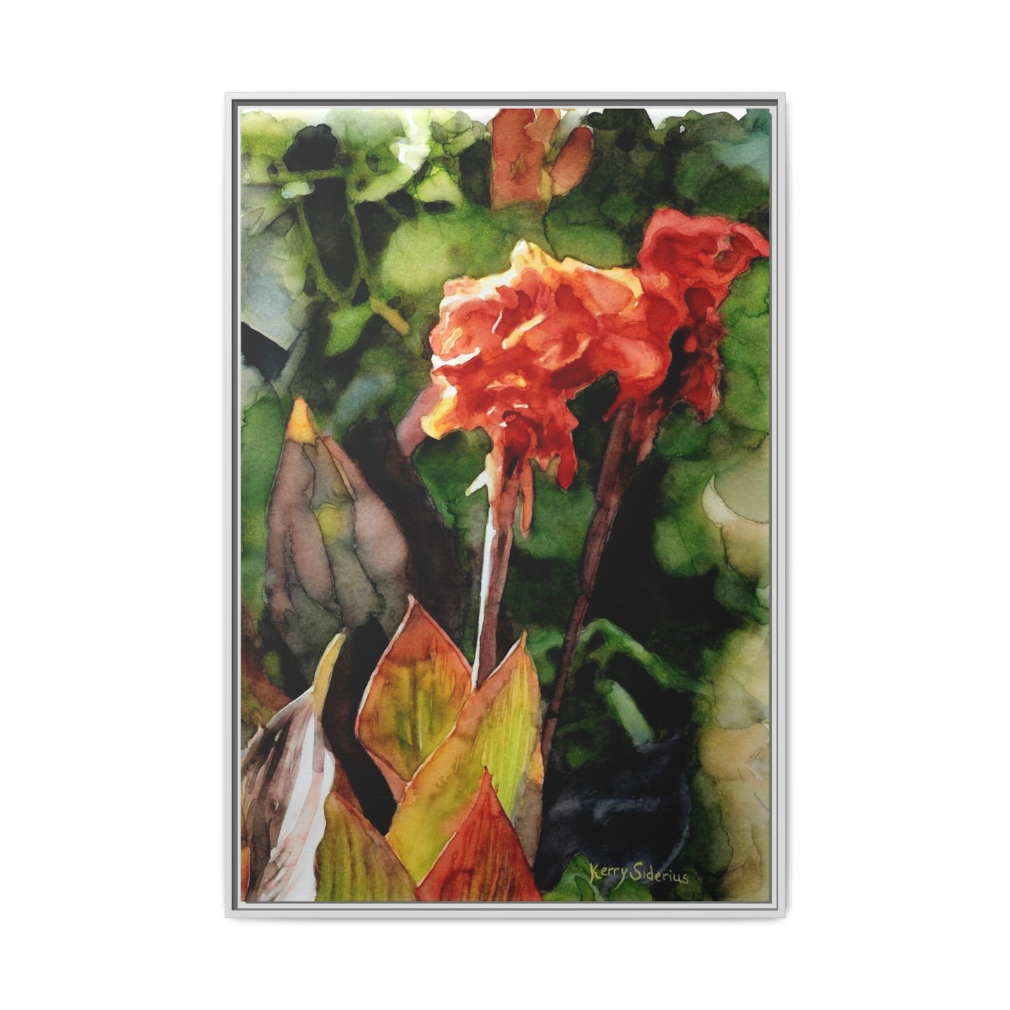 "Red Cannus Flower" Gallery Wrapped and Framed Canvas
