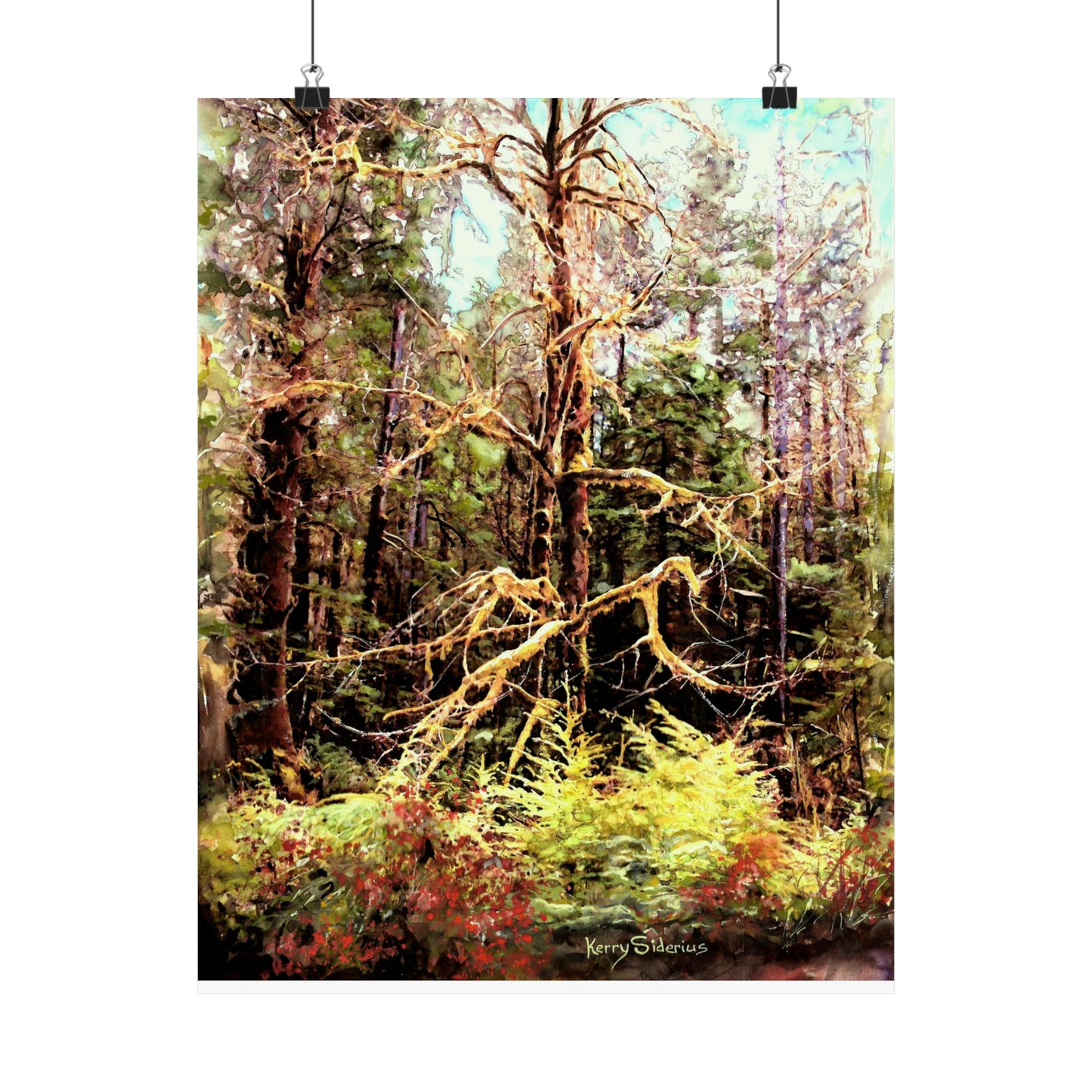 "Mossy Tree on Snoqualmie Pass" Archival Poster Print
