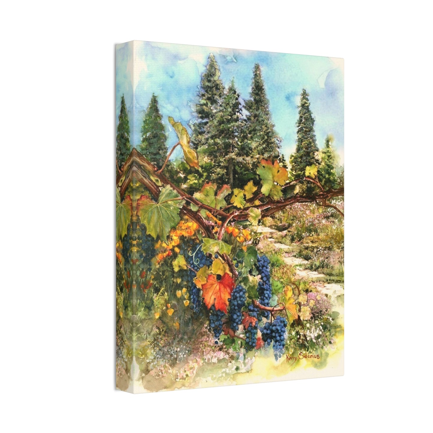 "Ohme Garden's Grapevines" Gallery Wrapped Canvas - Kerry Siderius Art