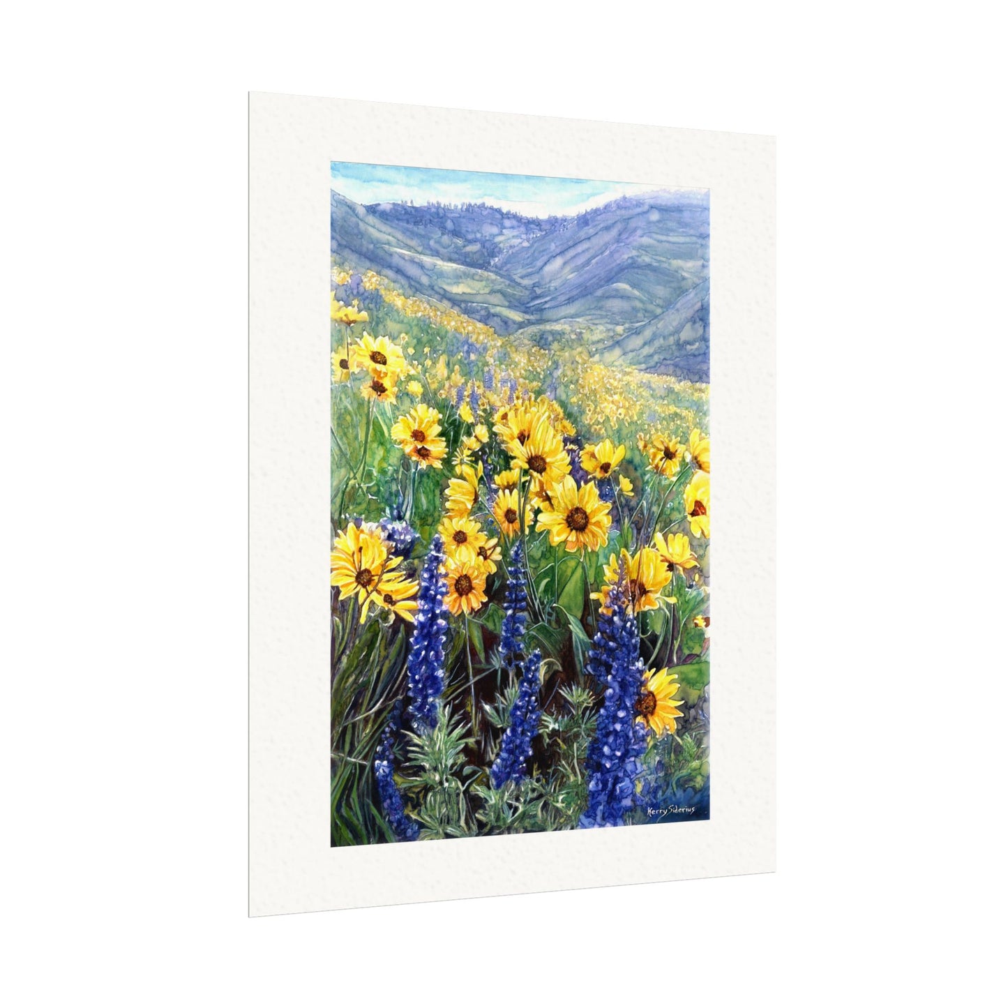 "Balsom and Lupine" Watercolor Art Prints for Home Decor, Nature Lovers, Gifting, Wall Art, Office Decor