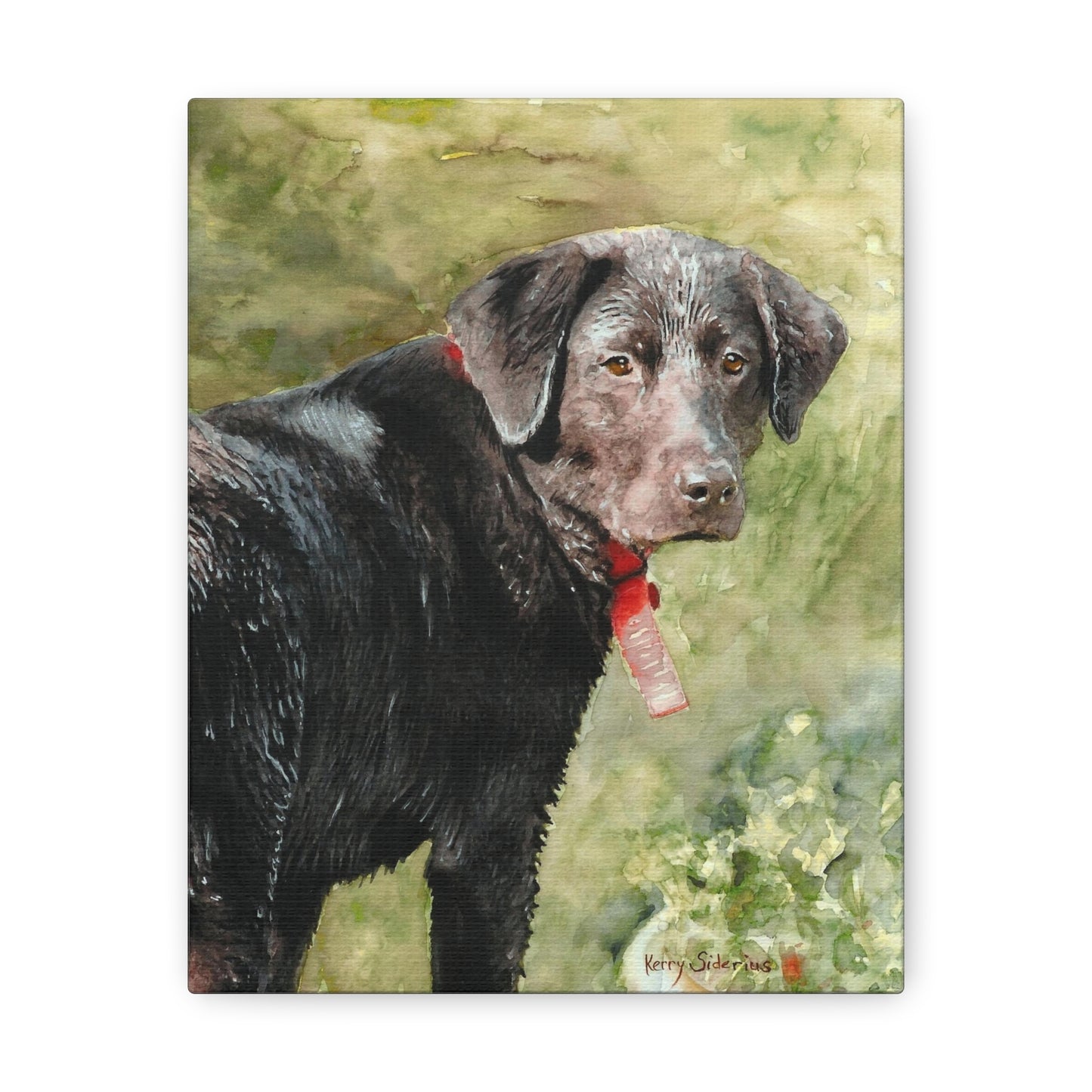 "Look Back Jack" Gallery Wrapped Canvas - Kerry Siderius Art