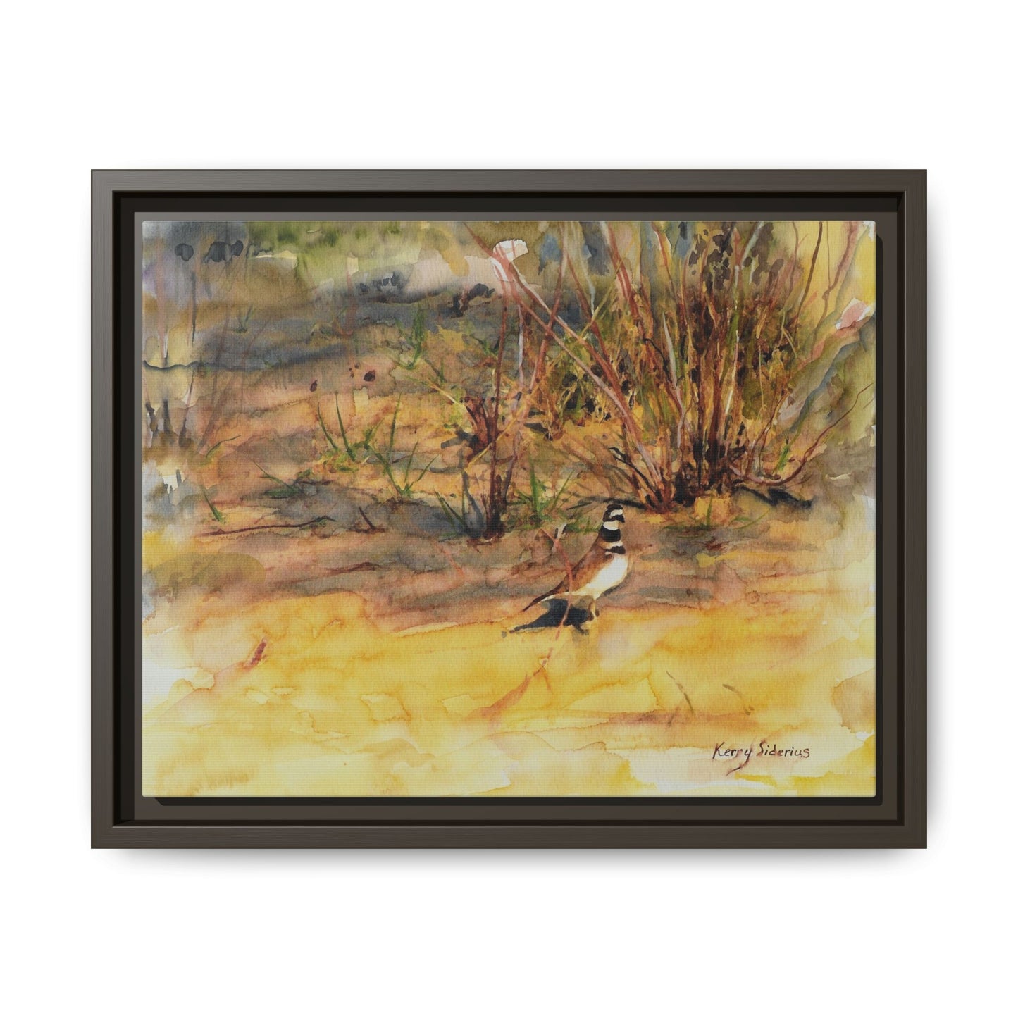 "Killdeer Male on the banks of the Columbia" Gallery Wrapped Wood Framed Canvas