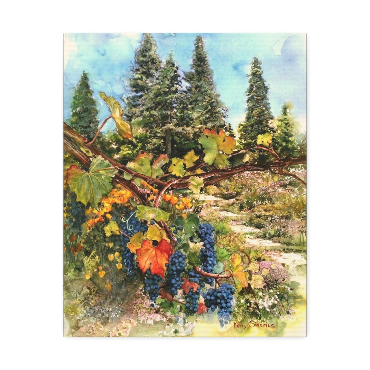 "Ohme Garden's Grapevines" Gallery Wrapped Canvas - Kerry Siderius Art