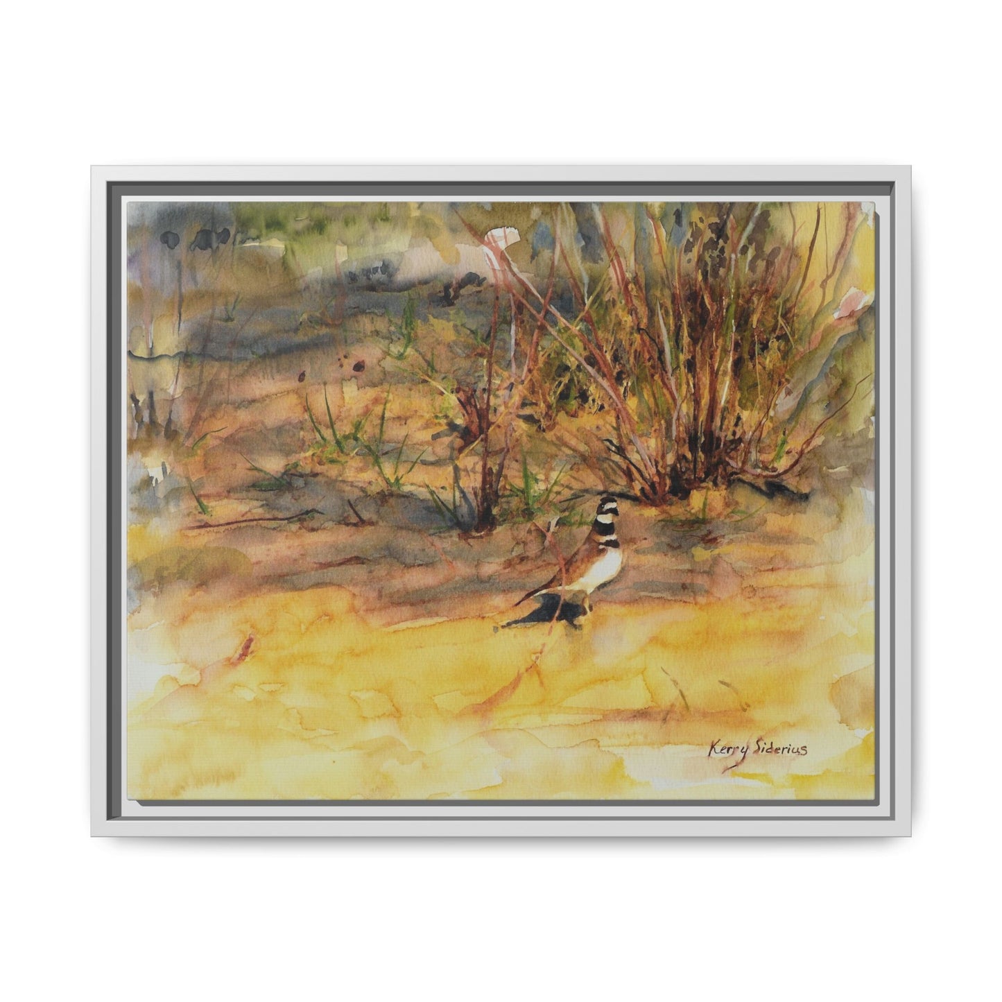 "Killdeer Male on the banks of the Columbia" Gallery Wrapped Wood Framed Canvas