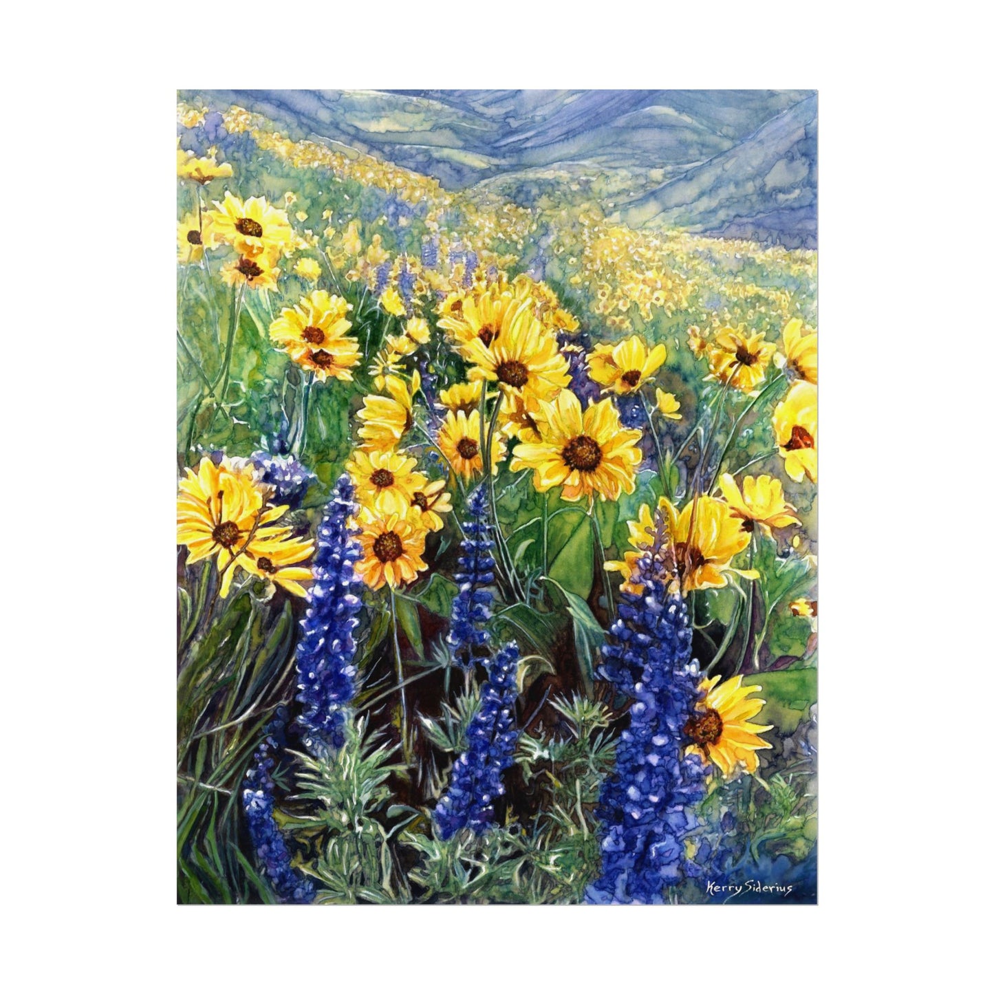 "Balsom and Lupine" Watercolor Art Prints for Home Decor, Nature Lovers, Gifting, Wall Art, Office Decor