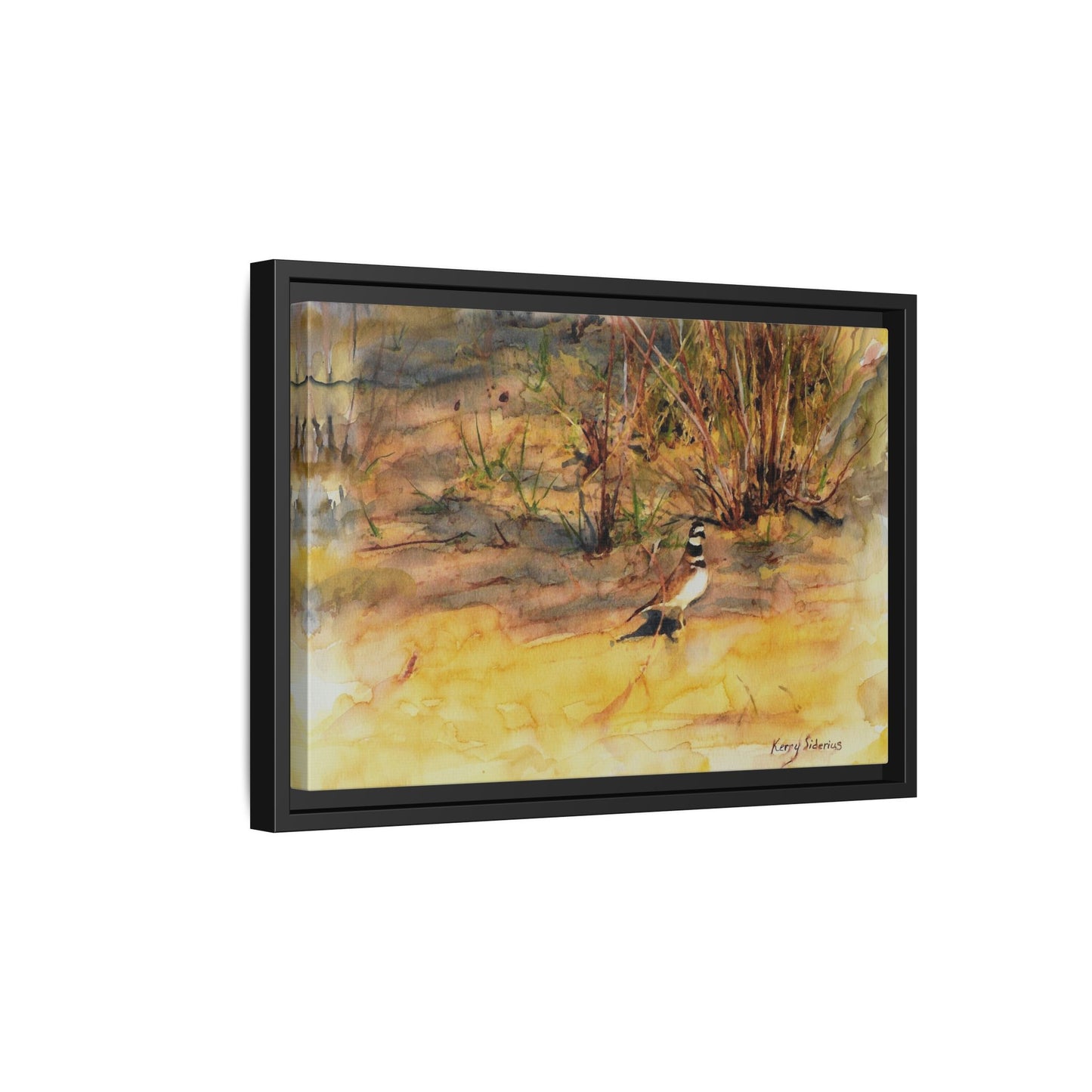 "Killdeer Male on the banks of the Columbia" Gallery Wrapped Wood Framed Canvas