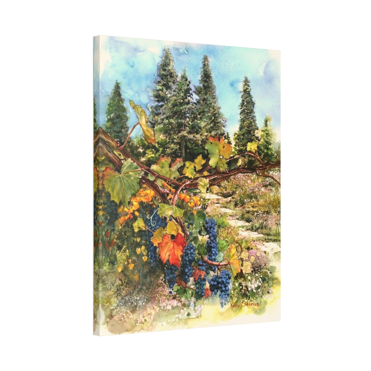 "Ohme Garden's Grapevines" Gallery Wrapped Canvas - Kerry Siderius Art