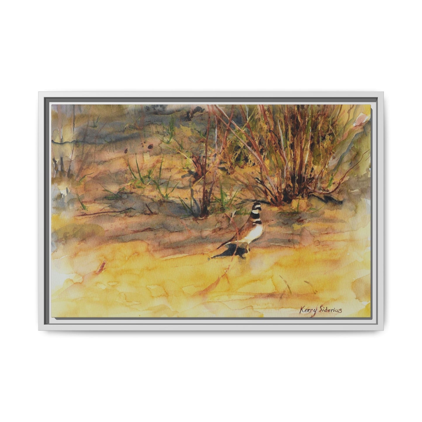 "Killdeer Male on the banks of the Columbia" Gallery Wrapped Wood Framed Canvas