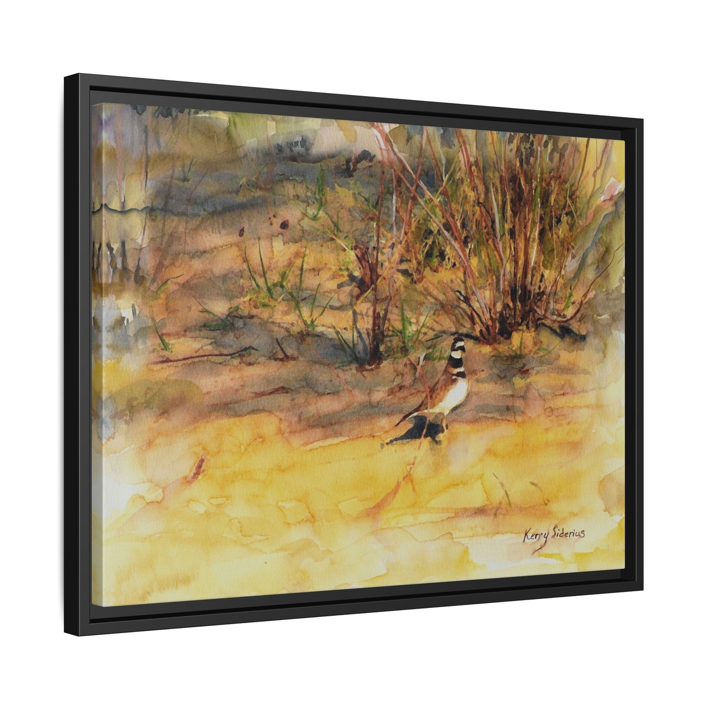 "Killdeer Male on the banks of the Columbia" Gallery Wrapped Wood Framed Canvas