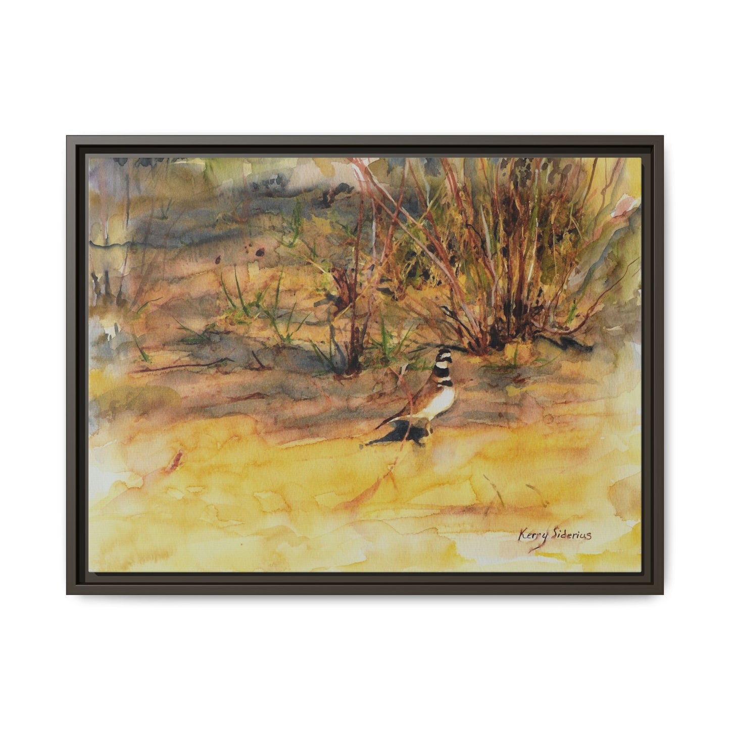 "Killdeer Male on the banks of the Columbia" Gallery Wrapped Wood Framed Canvas