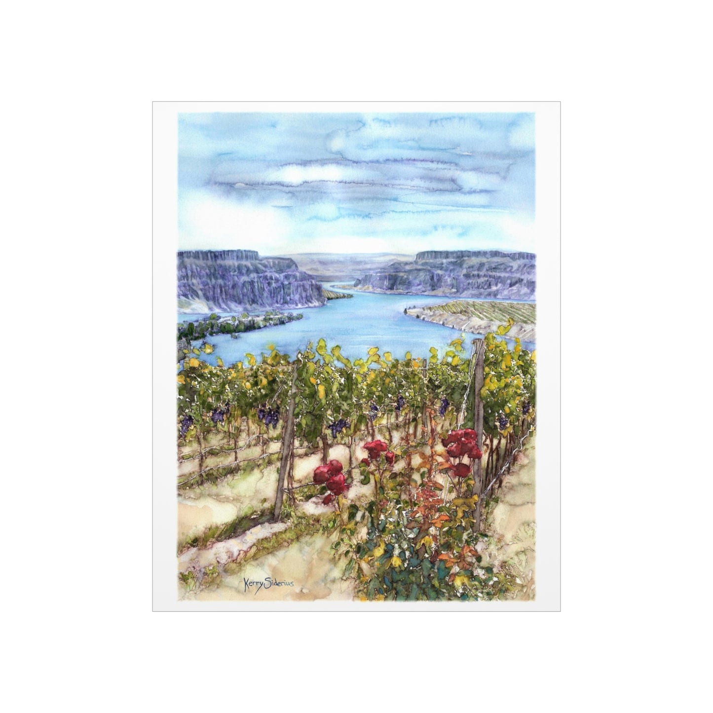 "Crescent Bar Vineyard White Heron" Matte Archival Print - Kerry Siderius Art