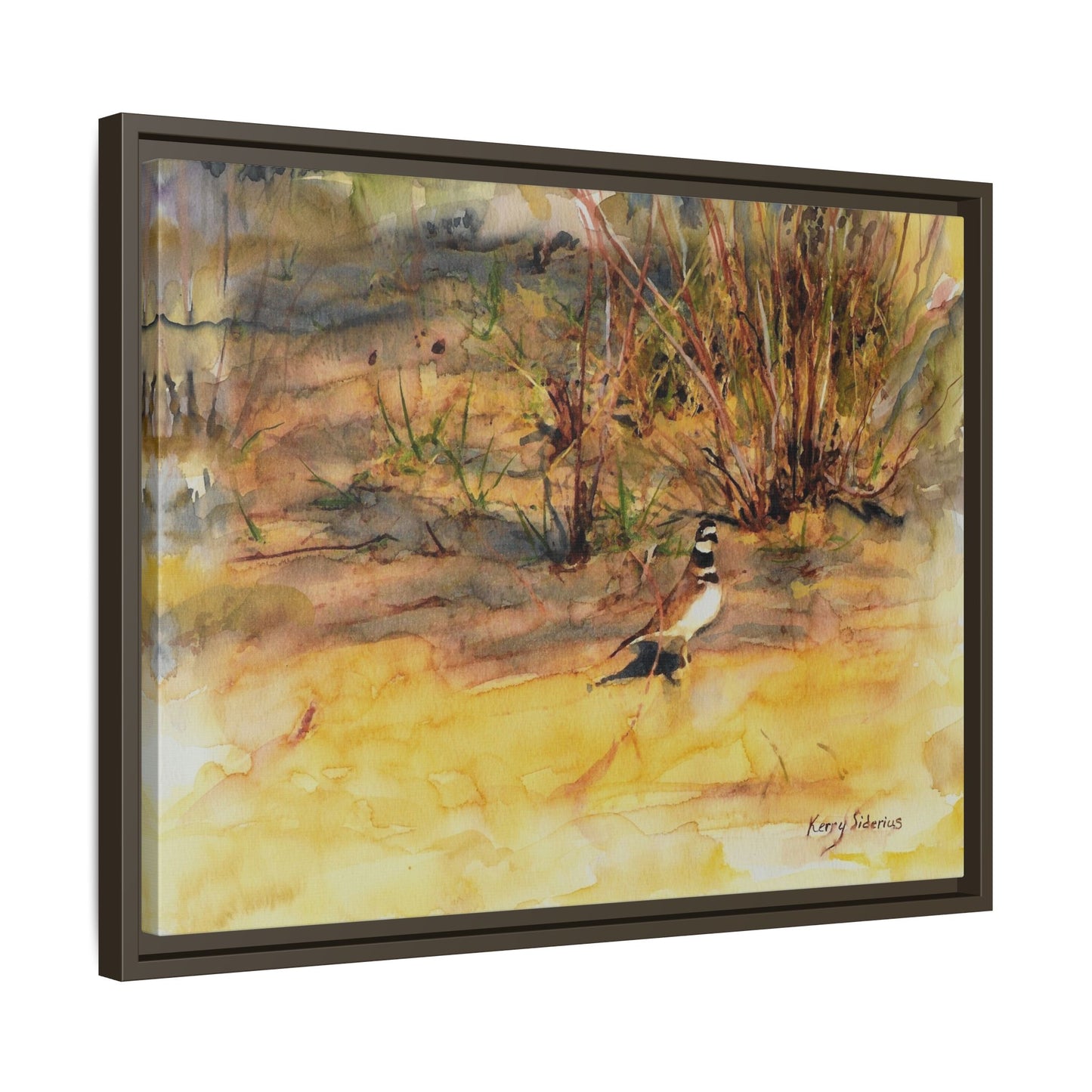 "Killdeer Male on the banks of the Columbia" Gallery Wrapped Wood Framed Canvas