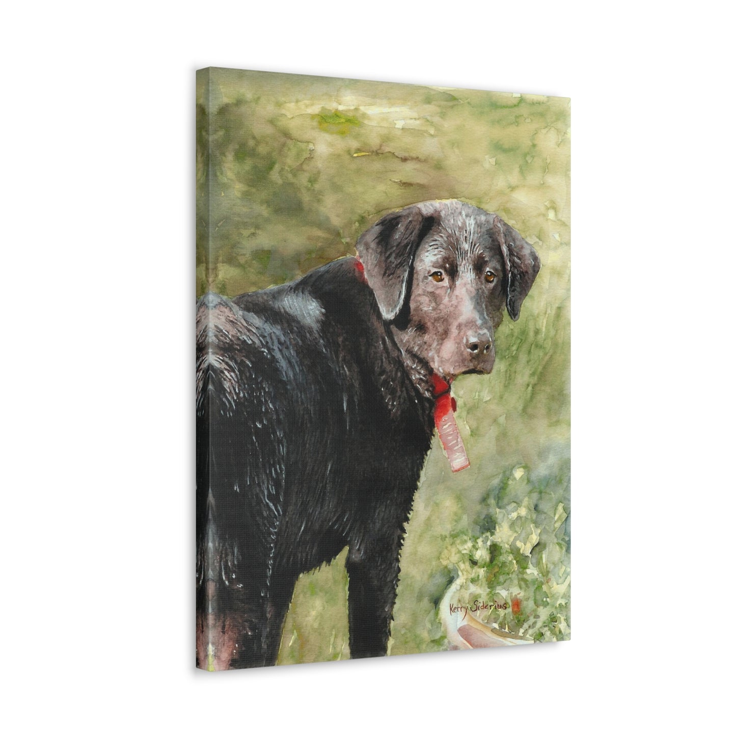 "Look Back Jack" Gallery Wrapped Canvas - Kerry Siderius Art