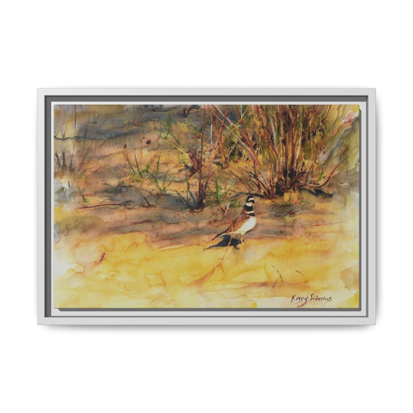 "Killdeer Male on the banks of the Columbia" Gallery Wrapped Wood Framed Canvas