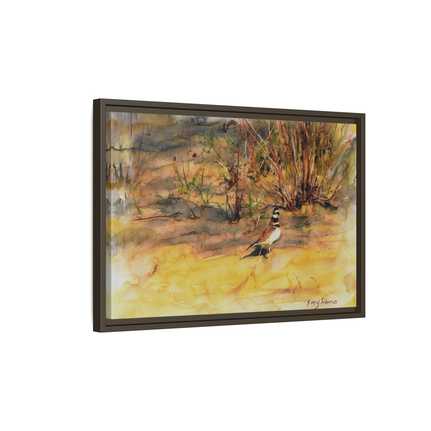 "Killdeer Male on the banks of the Columbia" Gallery Wrapped Wood Framed Canvas