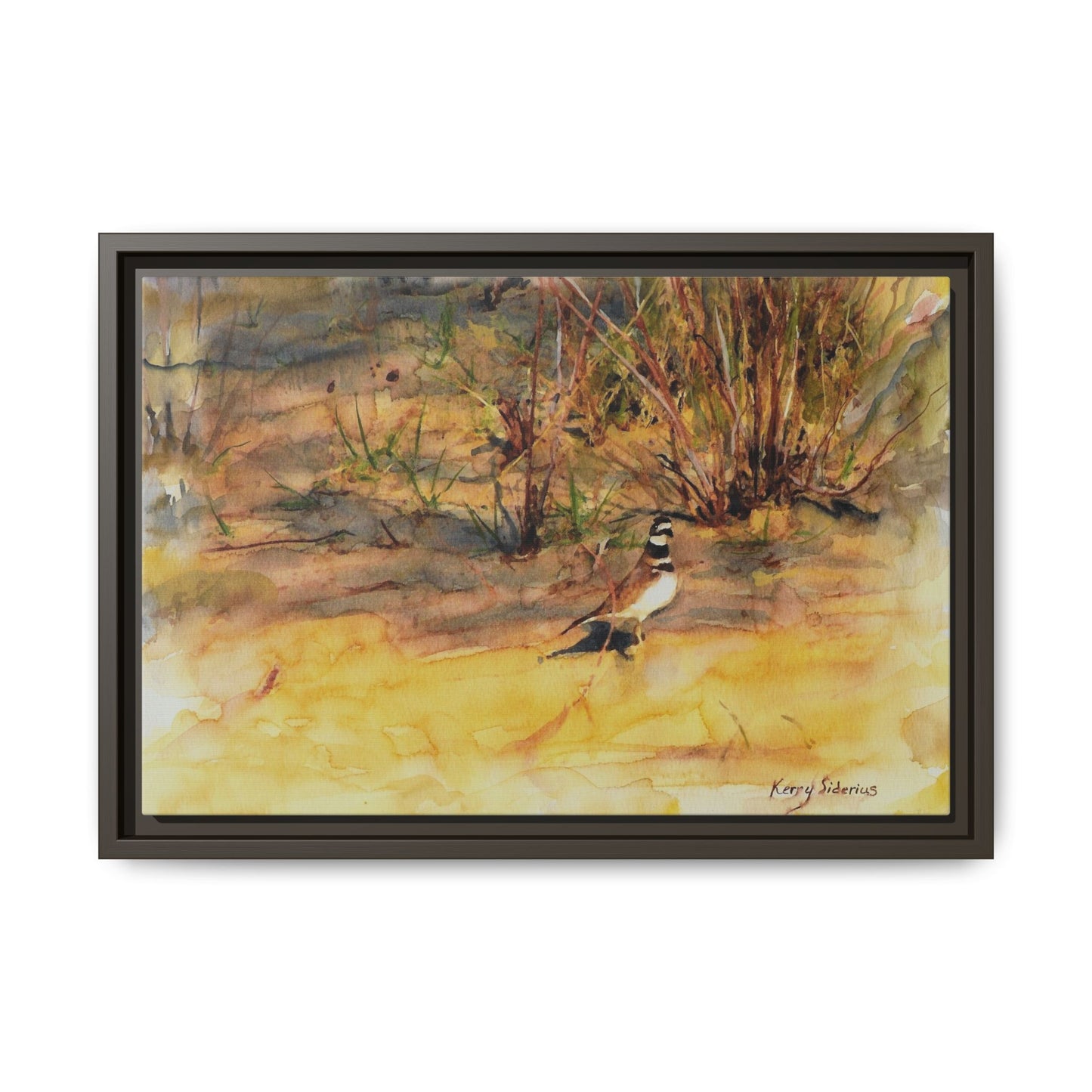"Killdeer Male on the banks of the Columbia" Gallery Wrapped Wood Framed Canvas