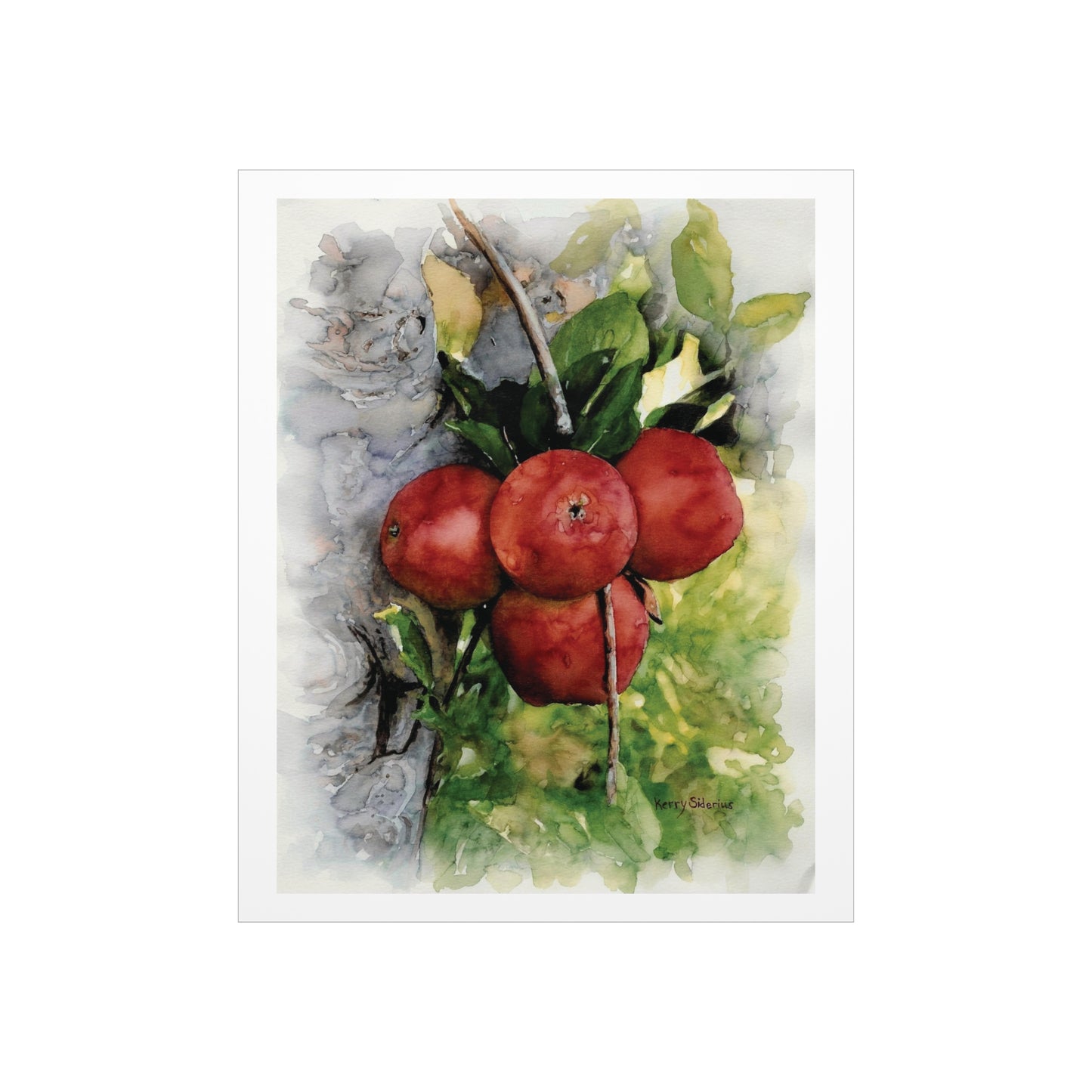"Ripe Country Apples in Chelan" Archival Print - Kerry Siderius Art