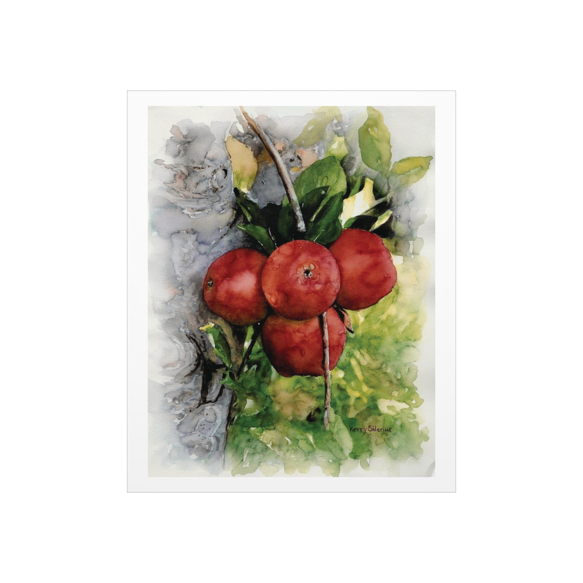 "Ripe Country Apples in Chelan" Archival Print - Kerry Siderius Art