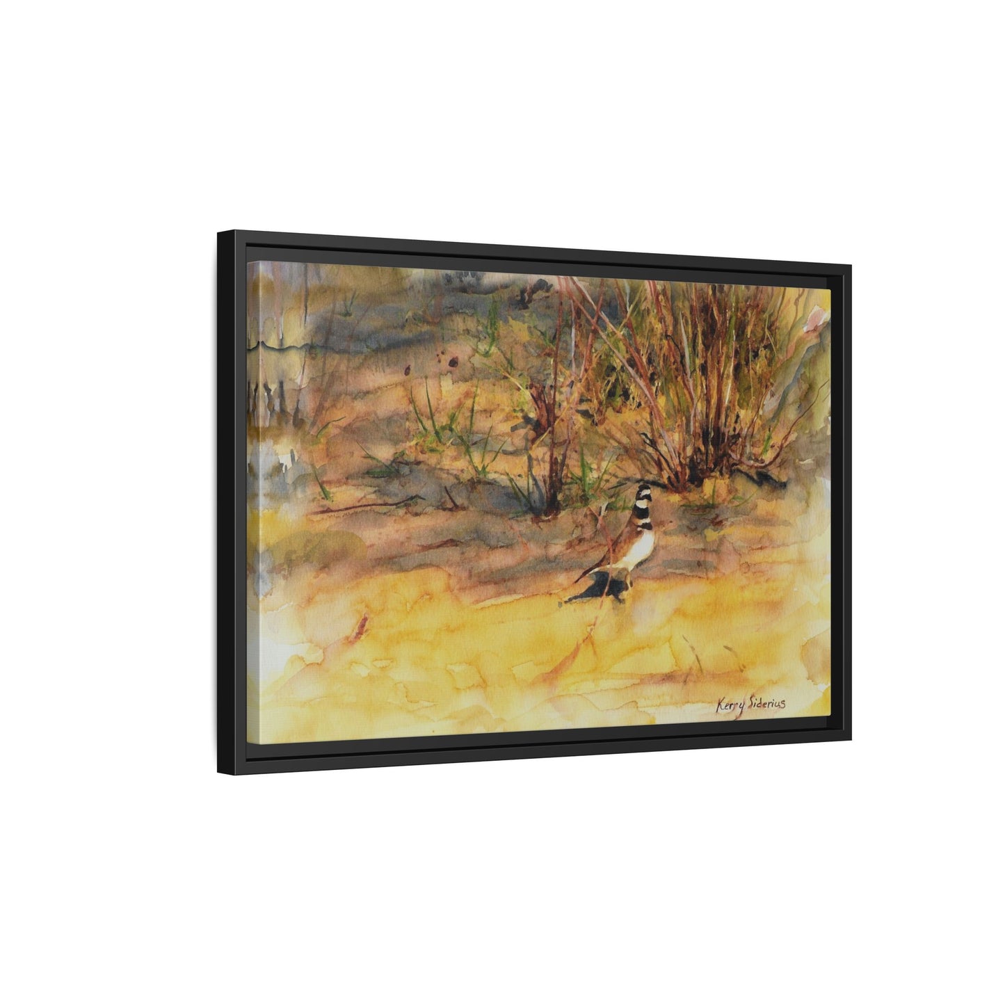"Killdeer Male on the banks of the Columbia" Gallery Wrapped Wood Framed Canvas
