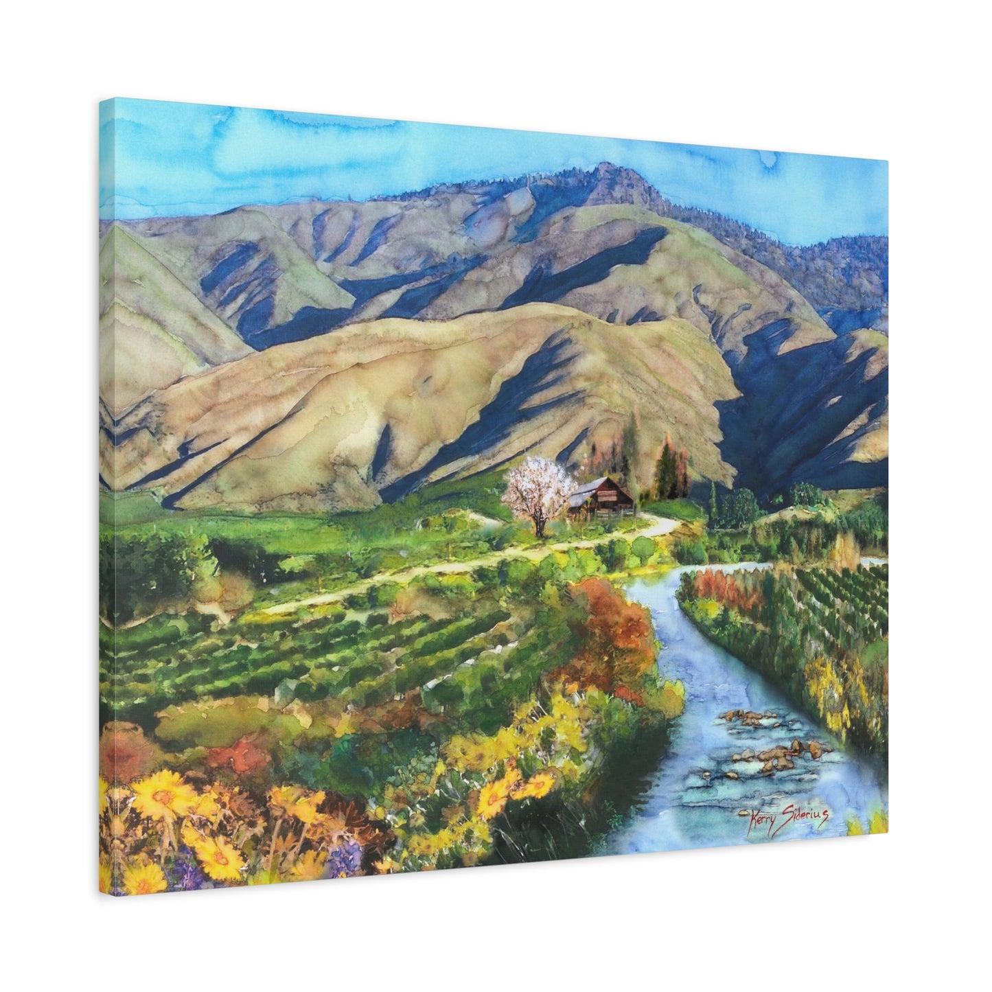 "Little Creek through the Vineyards in Monitor" Landscape Canvas Art Print | 1.25" Stretched Wall Decor