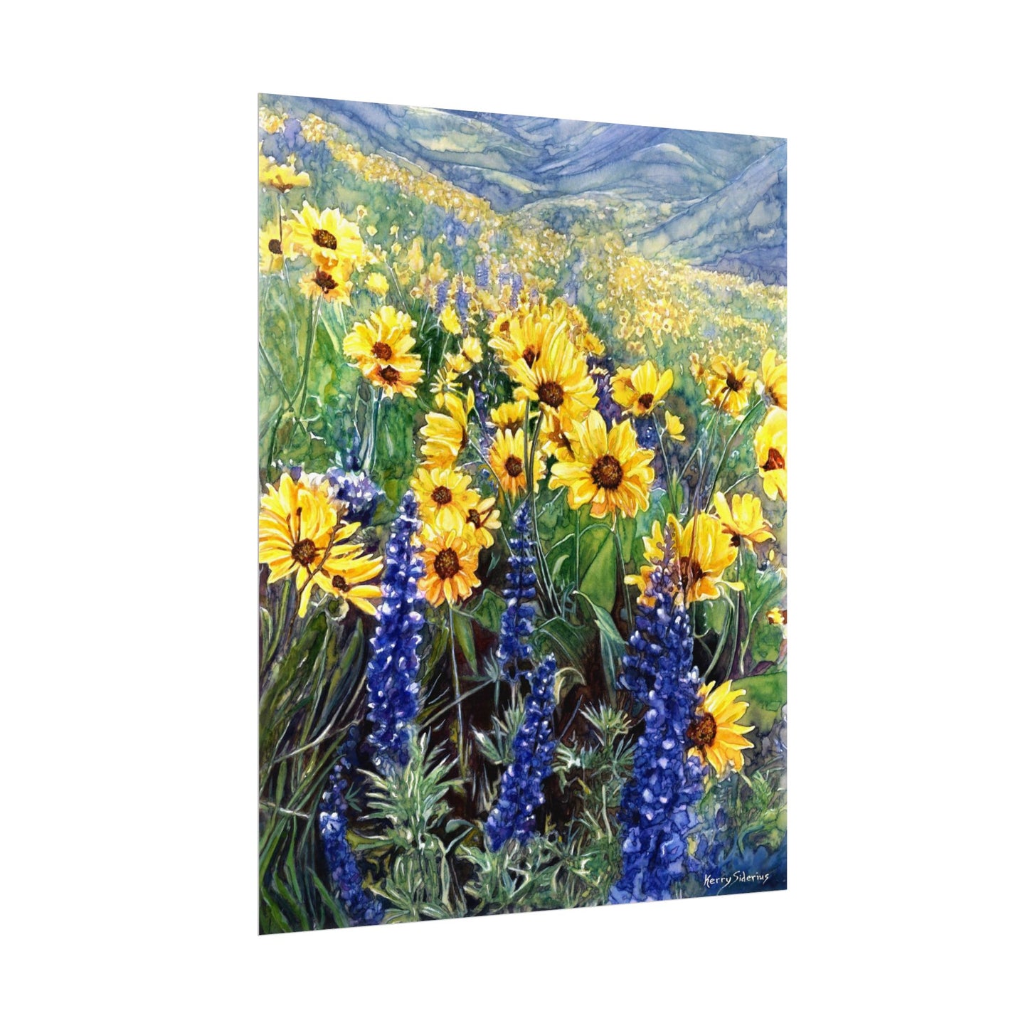 "Balsom and Lupine" Watercolor Art Prints for Home Decor, Nature Lovers, Gifting, Wall Art, Office Decor