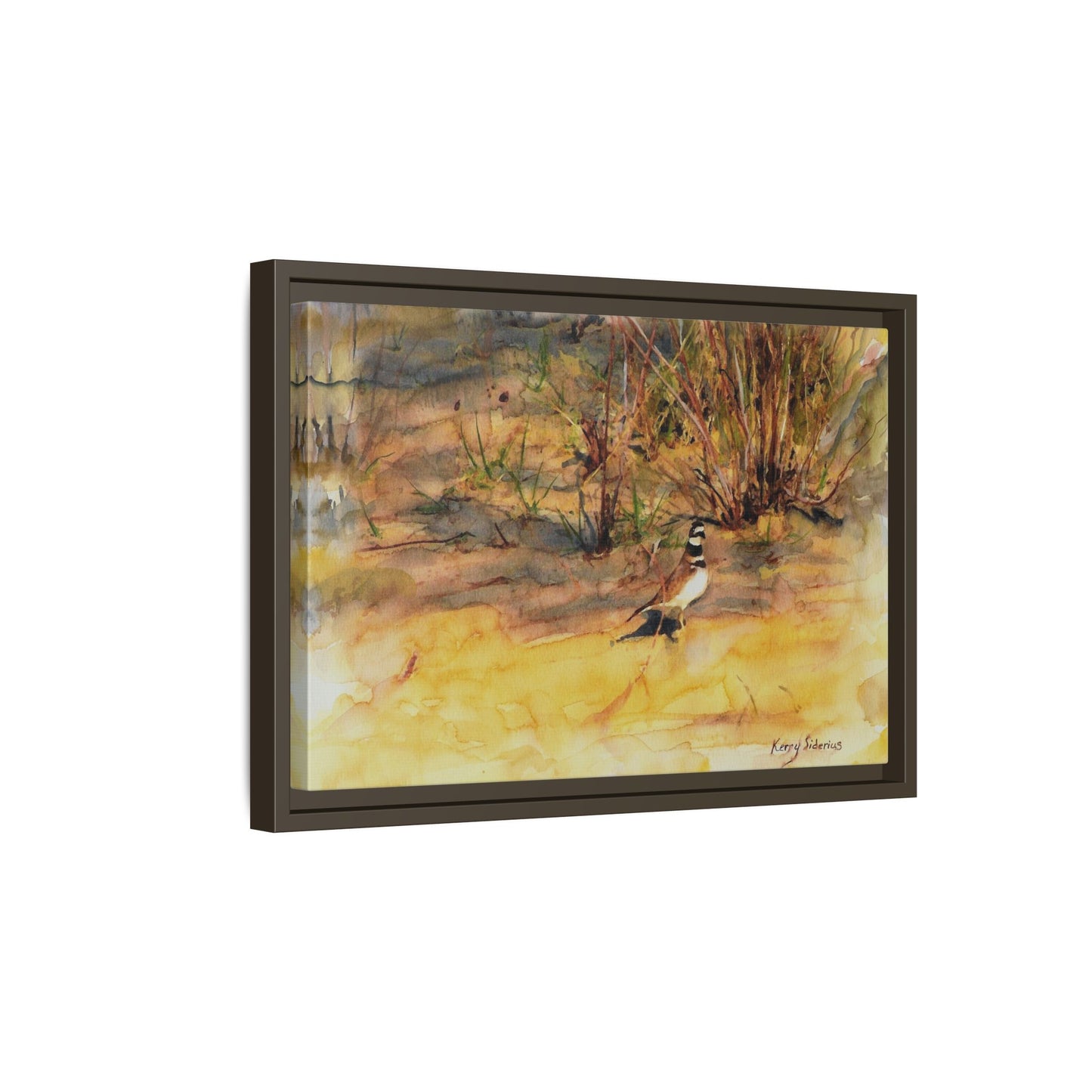 "Killdeer Male on the banks of the Columbia" Gallery Wrapped Wood Framed Canvas