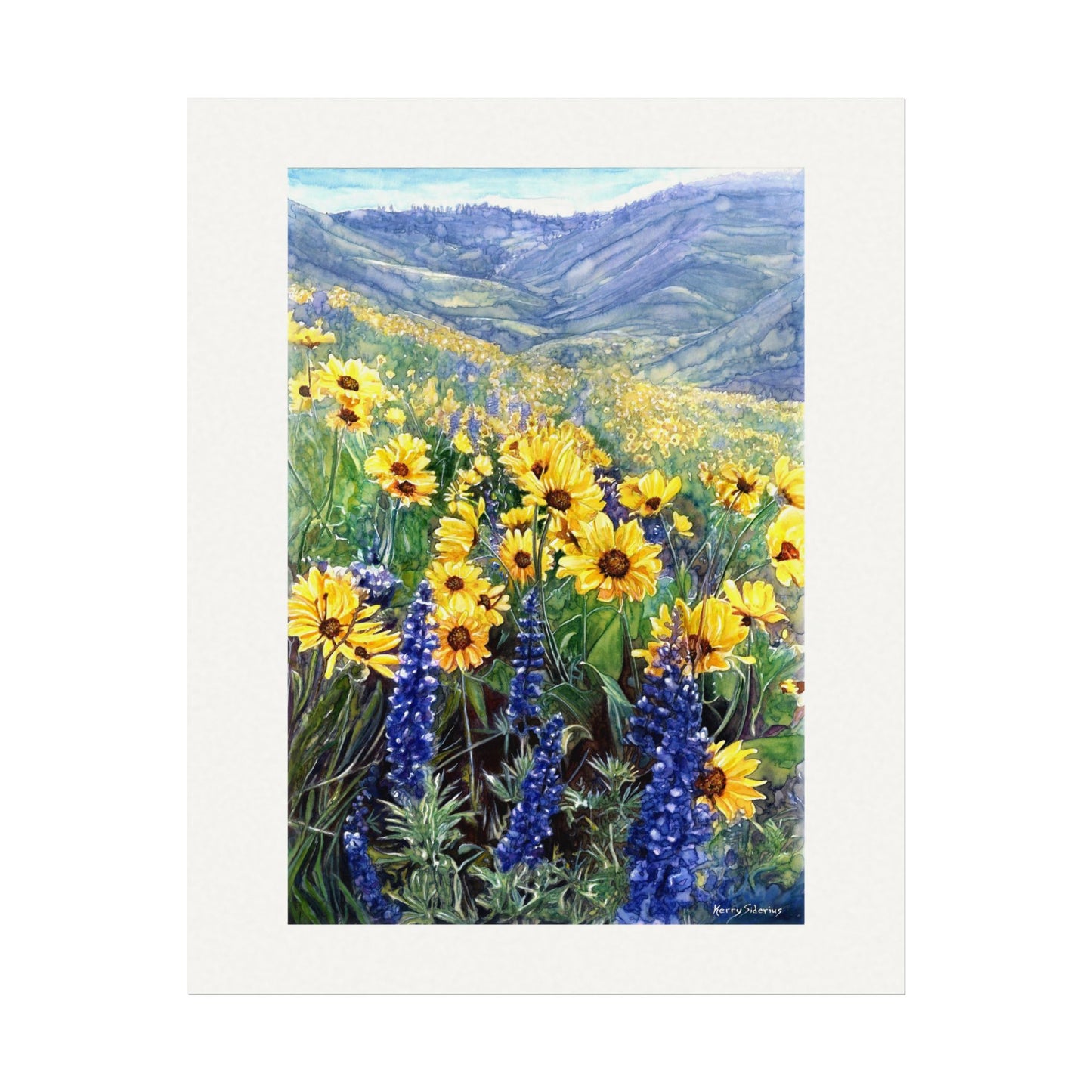 "Balsom and Lupine" Watercolor Art Prints for Home Decor, Nature Lovers, Gifting, Wall Art, Office Decor