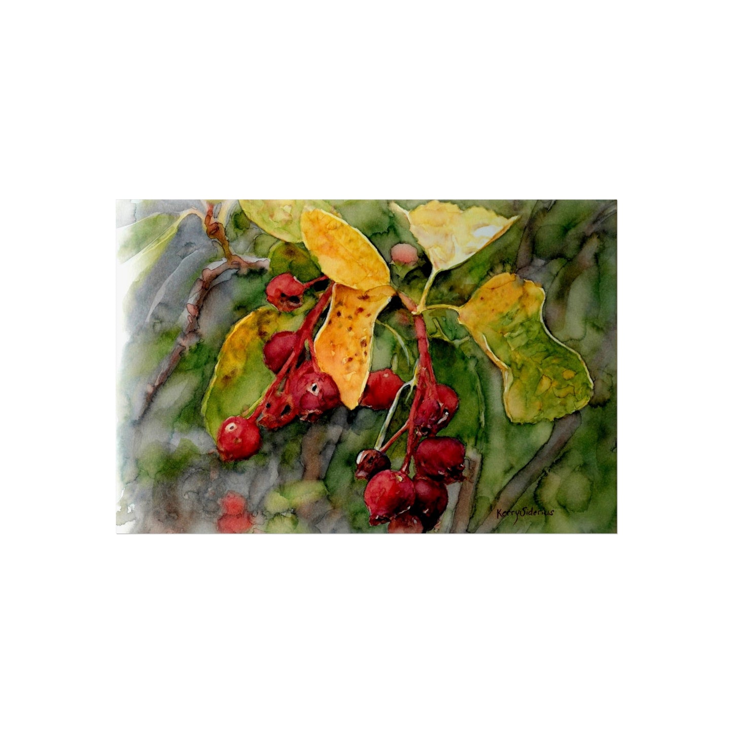 "Service Berry Early Spring" Giclee Matte Print (3 Sizes Available)